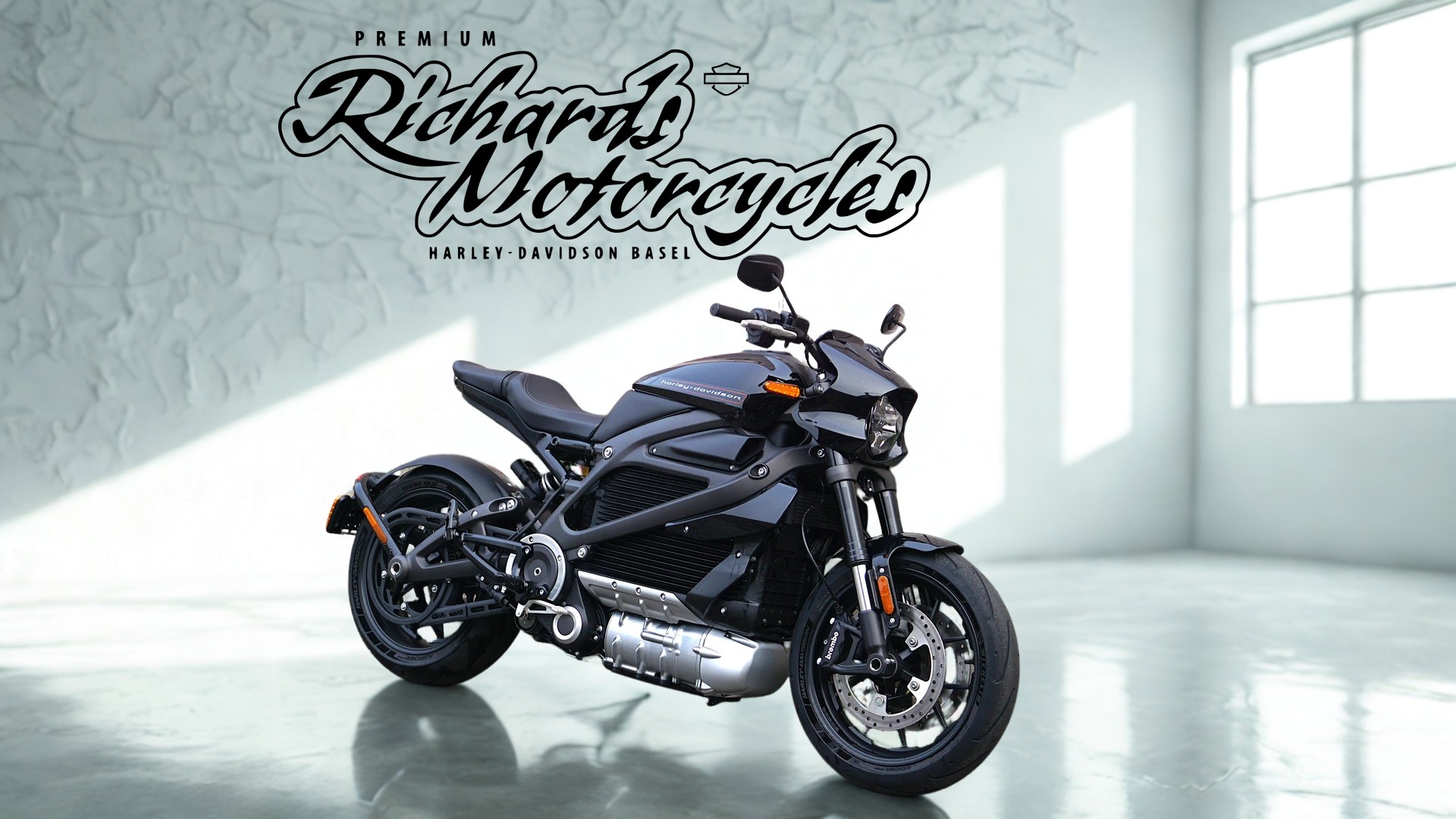 HARLEY-DAVIDSON Live Wire-image-1