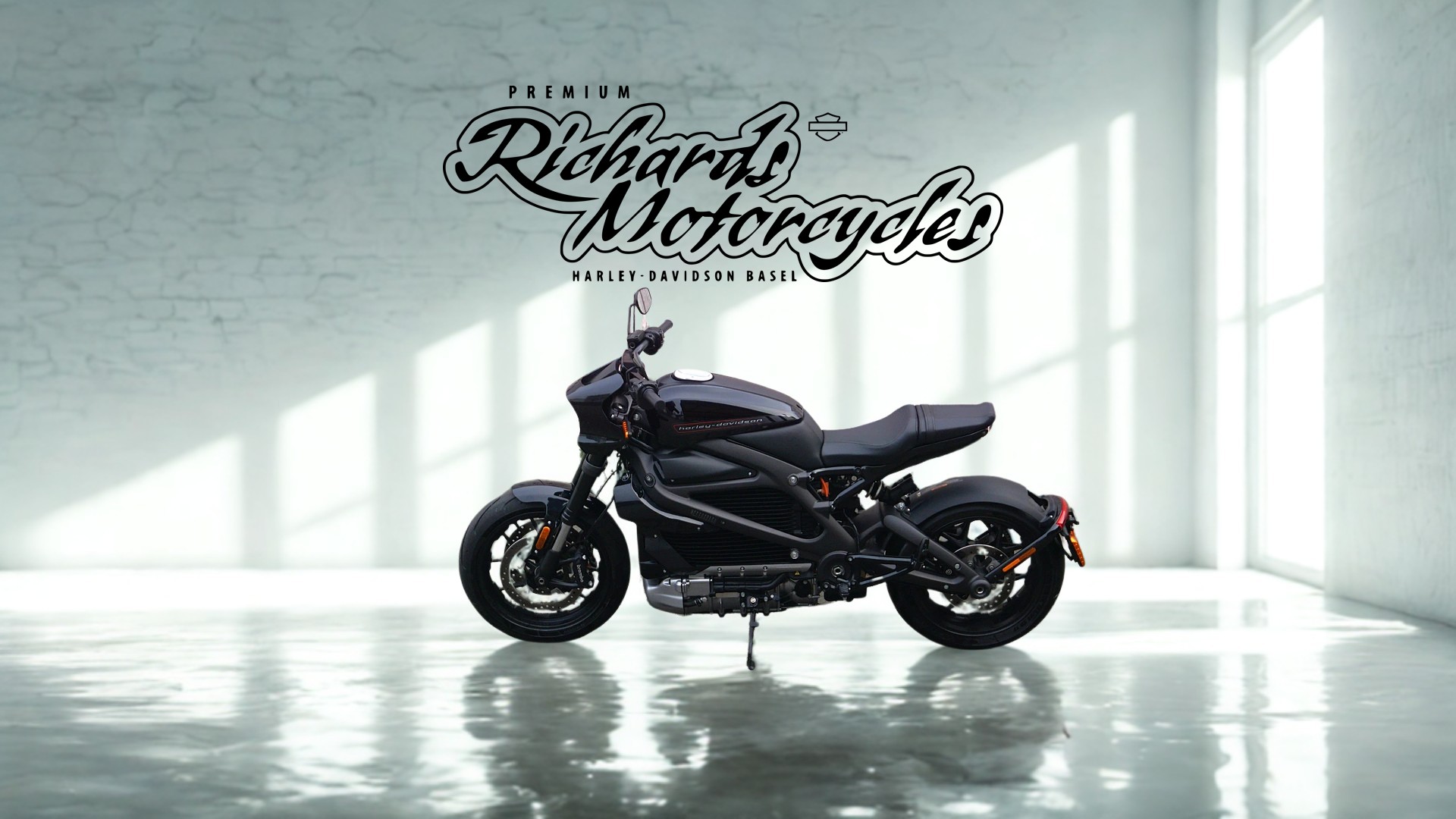 HARLEY-DAVIDSON Live Wire-image-3