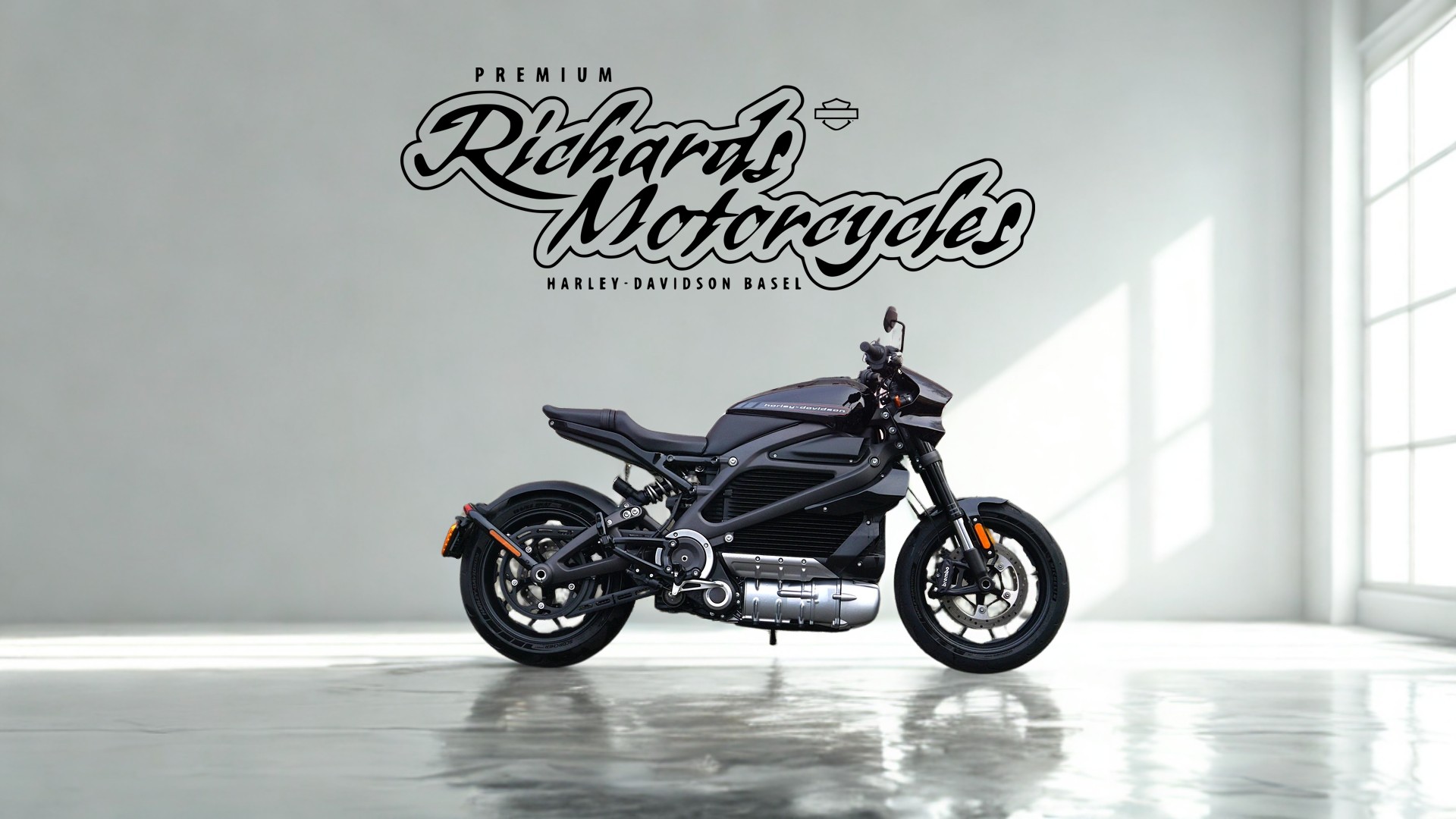 HARLEY-DAVIDSON Live Wire-image-0