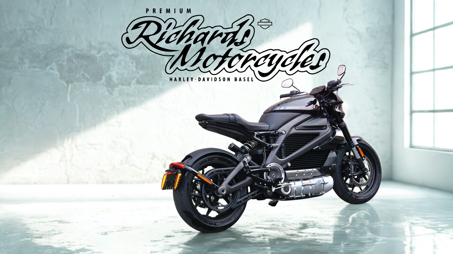 HARLEY-DAVIDSON Live Wire-image-5