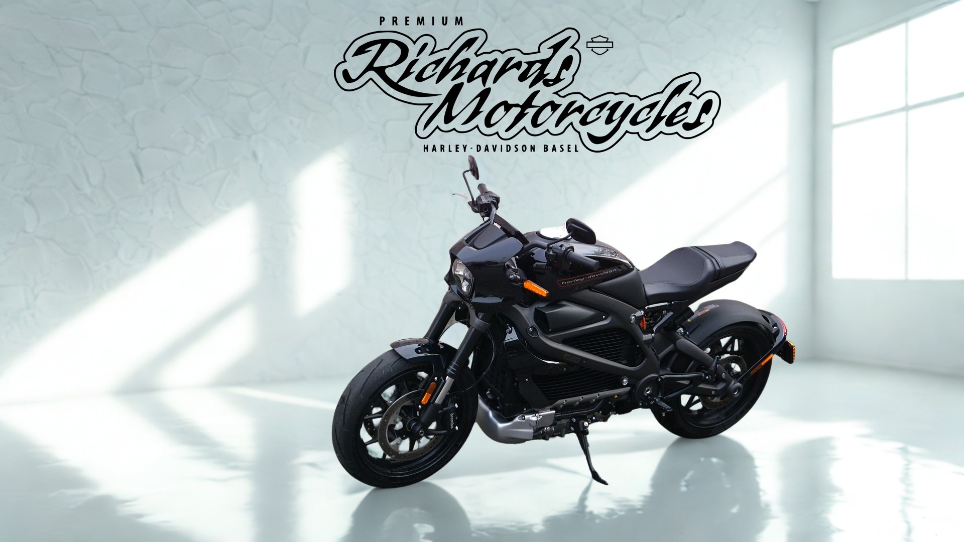 HARLEY-DAVIDSON Live Wire-image-4