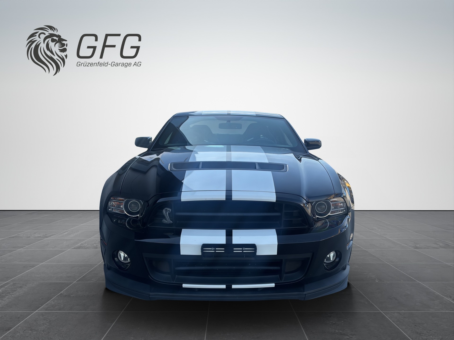 FORD Mustang Shelby GT 500-showroom-element-1