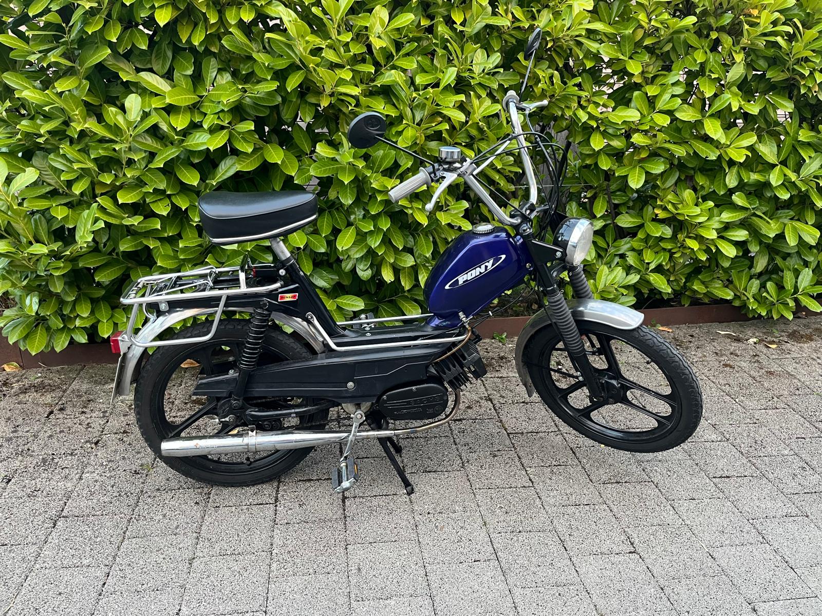 PONY 503 GTX-image-0