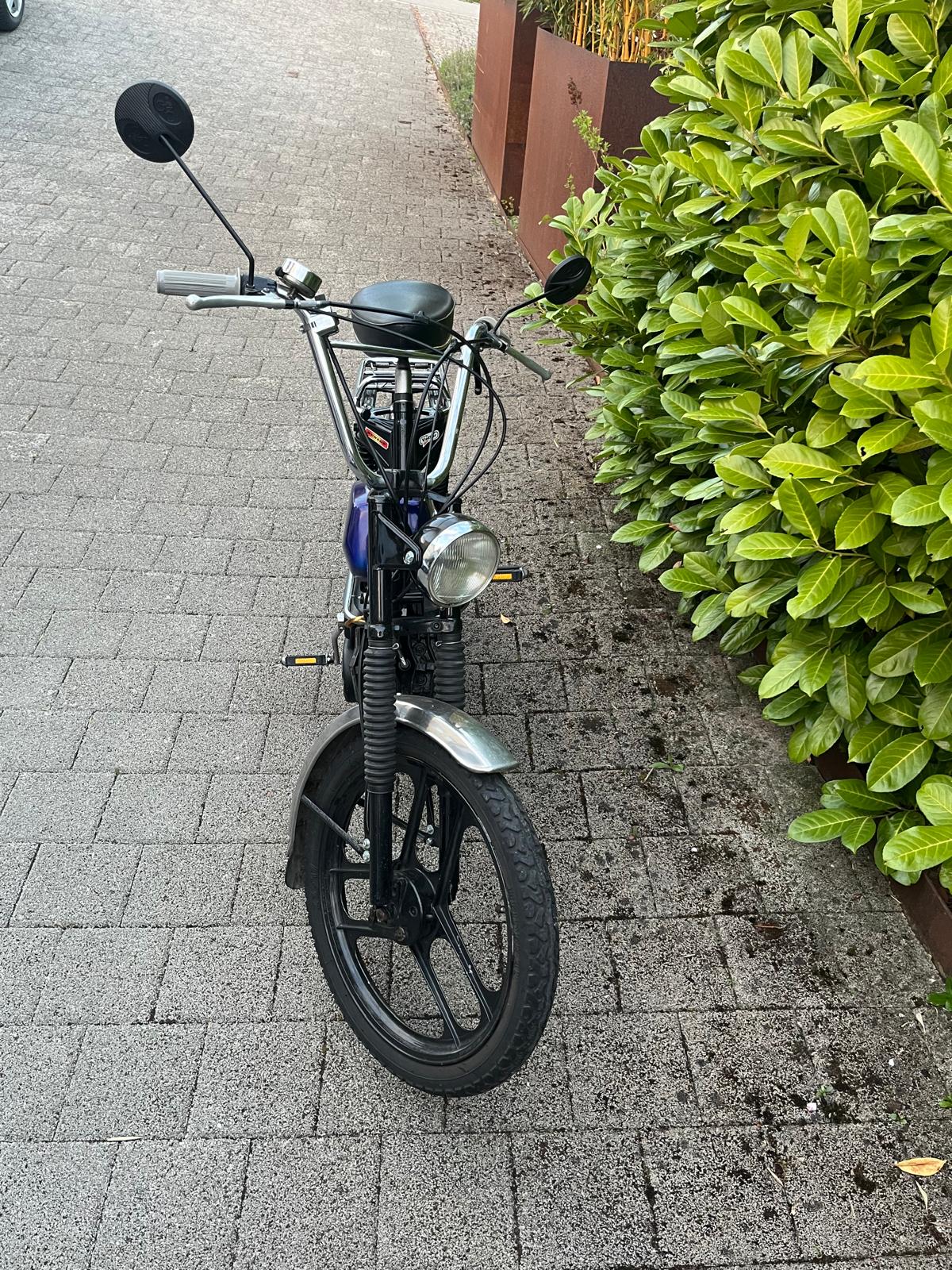 PONY 503 GTX-image-1