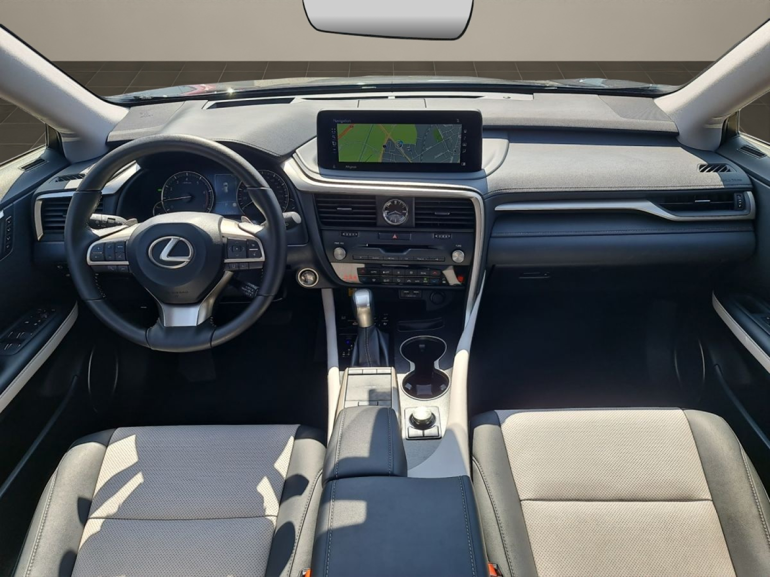 LEXUS RX 300 Special Edition-image-10