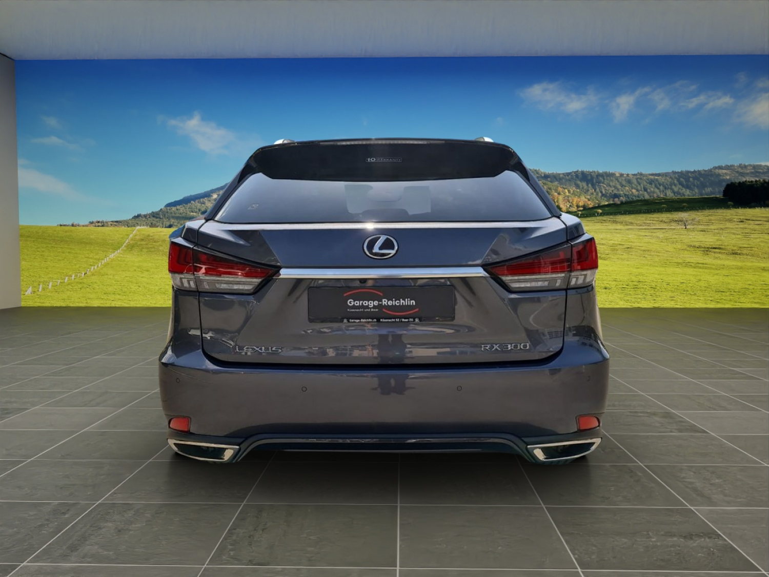 LEXUS RX 300 Special Edition-showroom-element-3