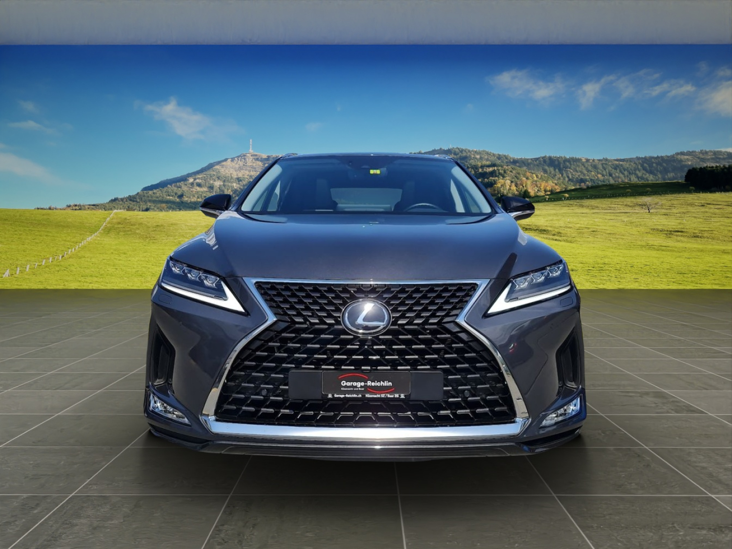LEXUS RX 300 Special Edition-image-7