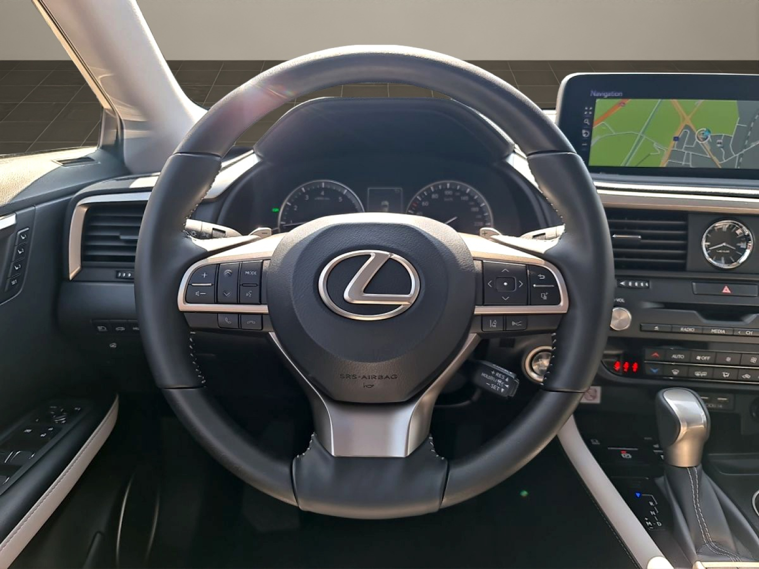 LEXUS RX 300 Special Edition-image-12