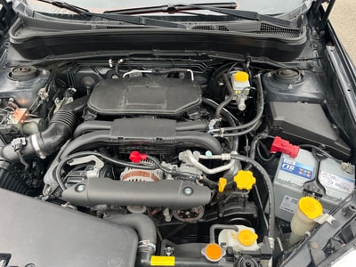 SUBARU Forester 2.0XS Comfort Automatic-image-11
