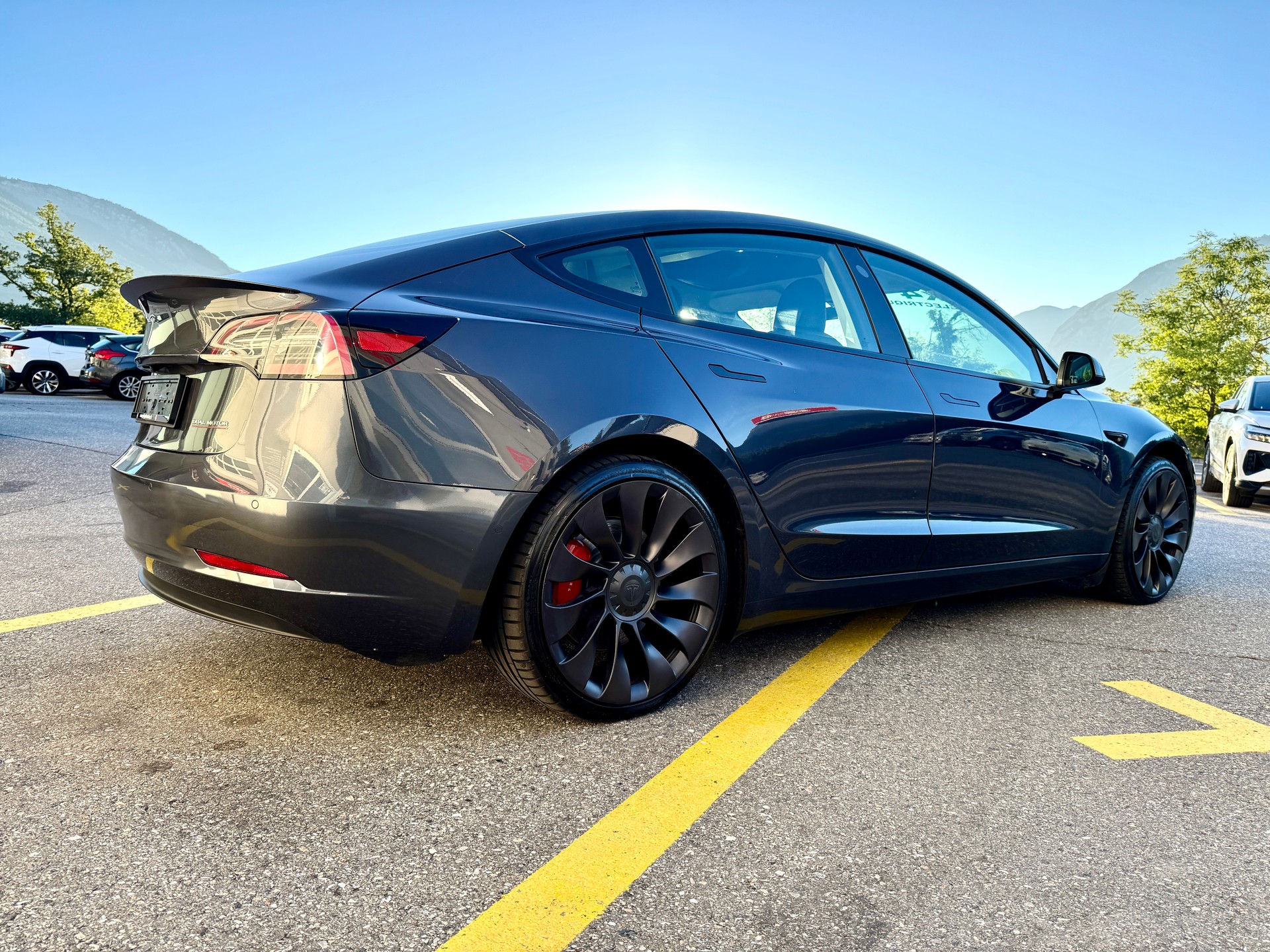 TESLA Model 3 Performance D-showroom-element-2