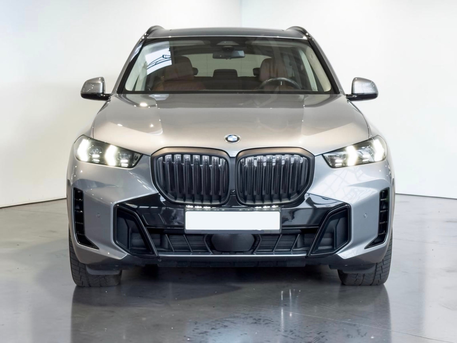 BMW X5 xDrive 48V 30d M Sport Pro Steptronic-showroom-element-1