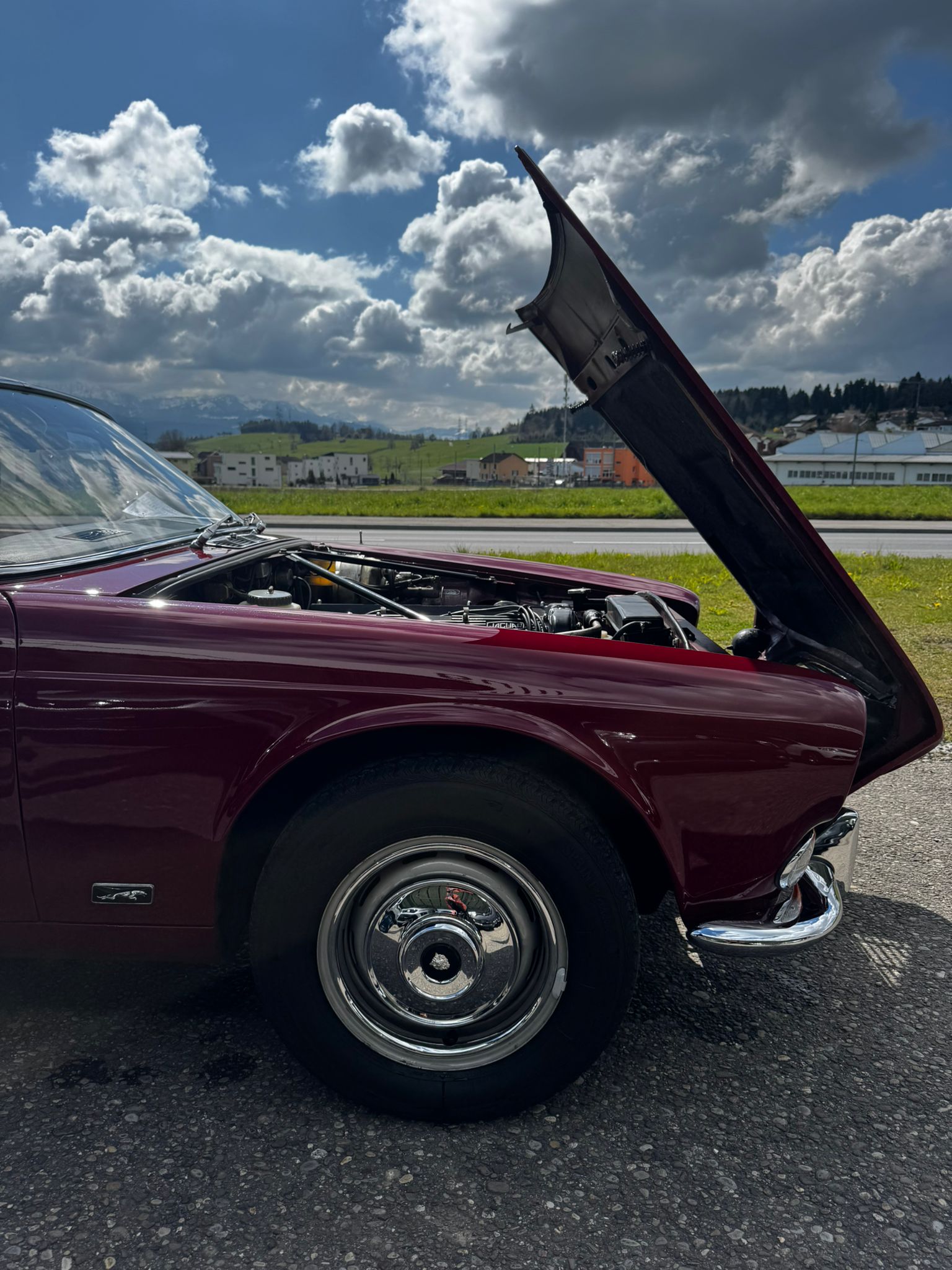 JAGUAR 6 2.8 L-image-14