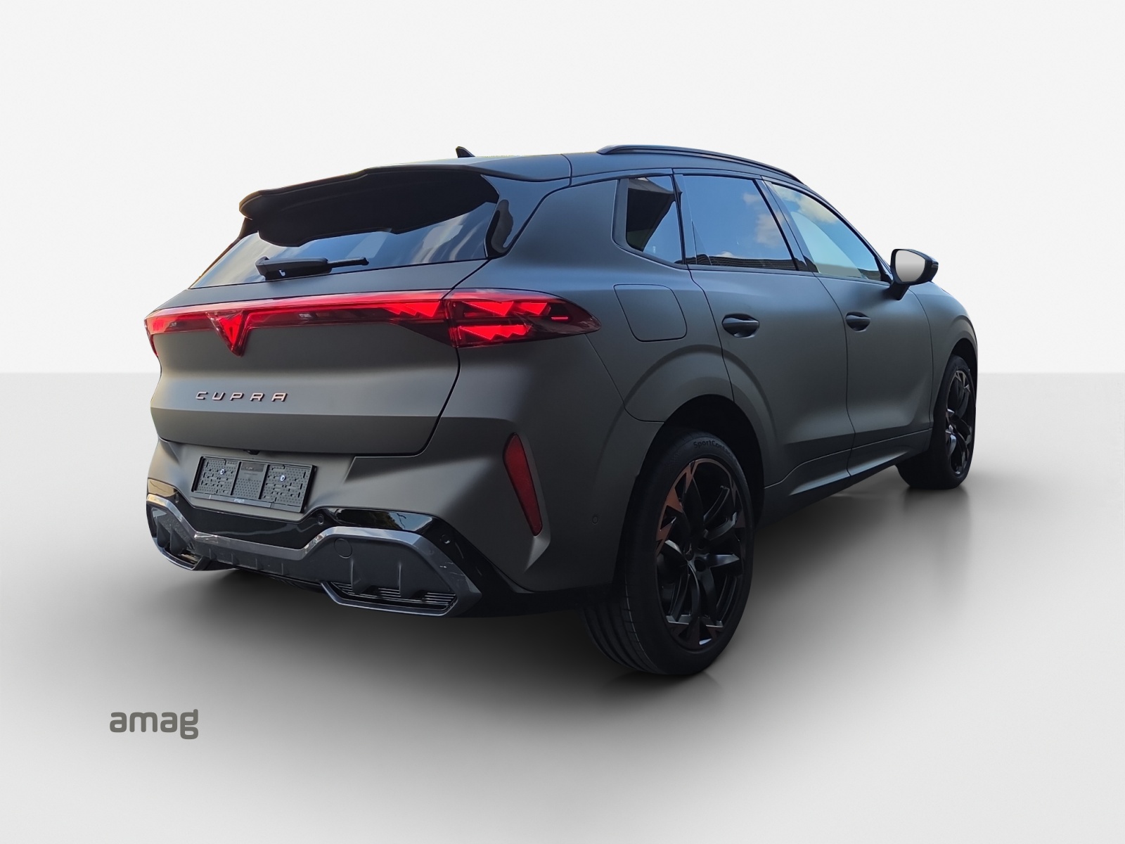 CUPRA Terramar 2.0 TSI Prime Edition DSG 4Drive-image-4