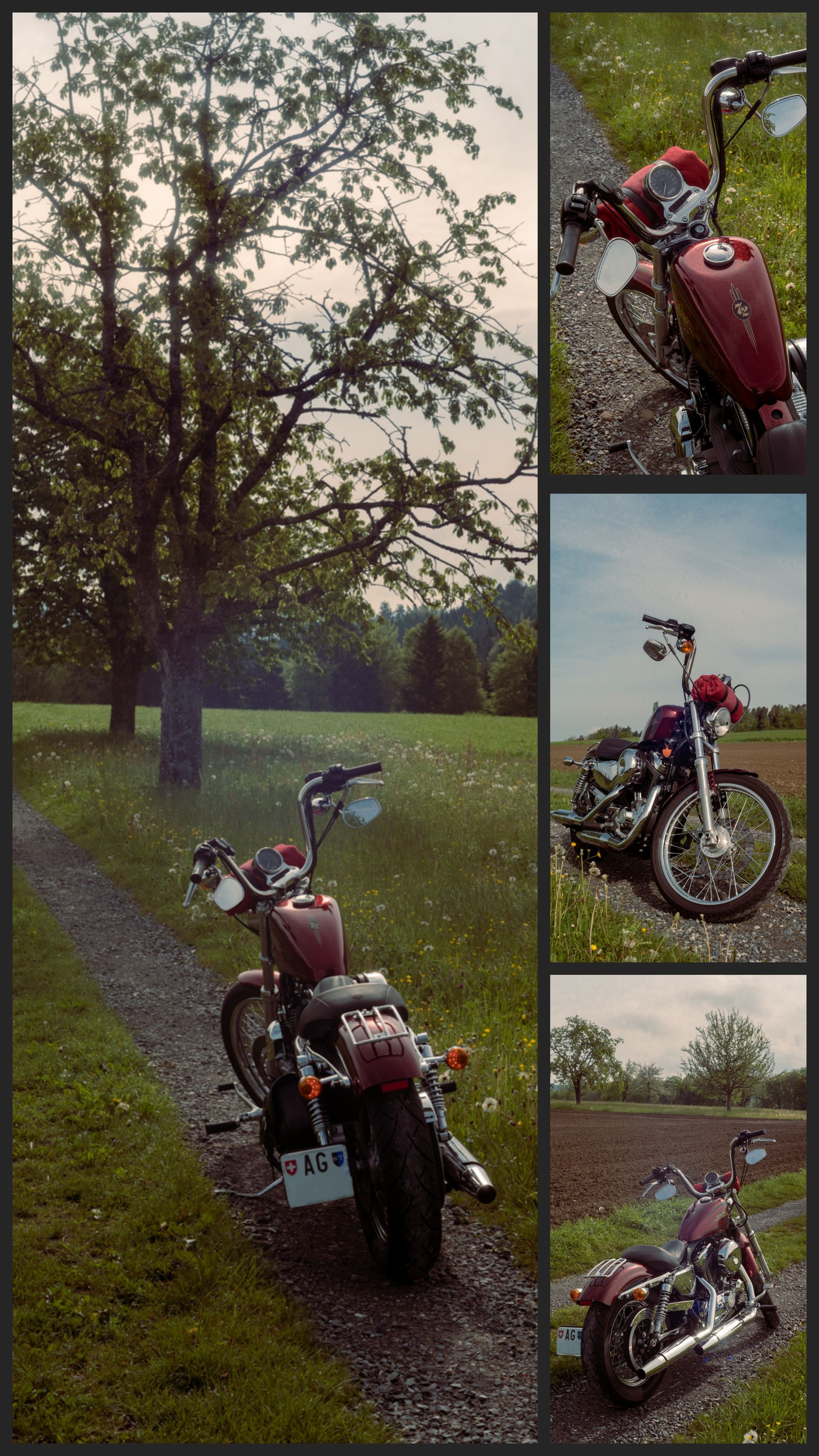 HARLEY-DAVIDSON XL 1200 V Seventy Two-image-8