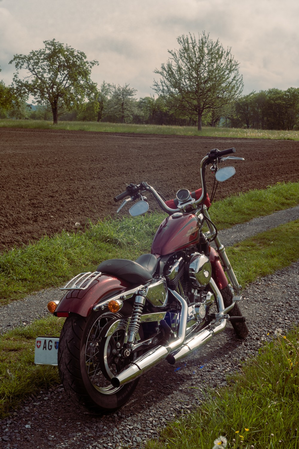 HARLEY-DAVIDSON XL 1200 V Seventy Two-image-7