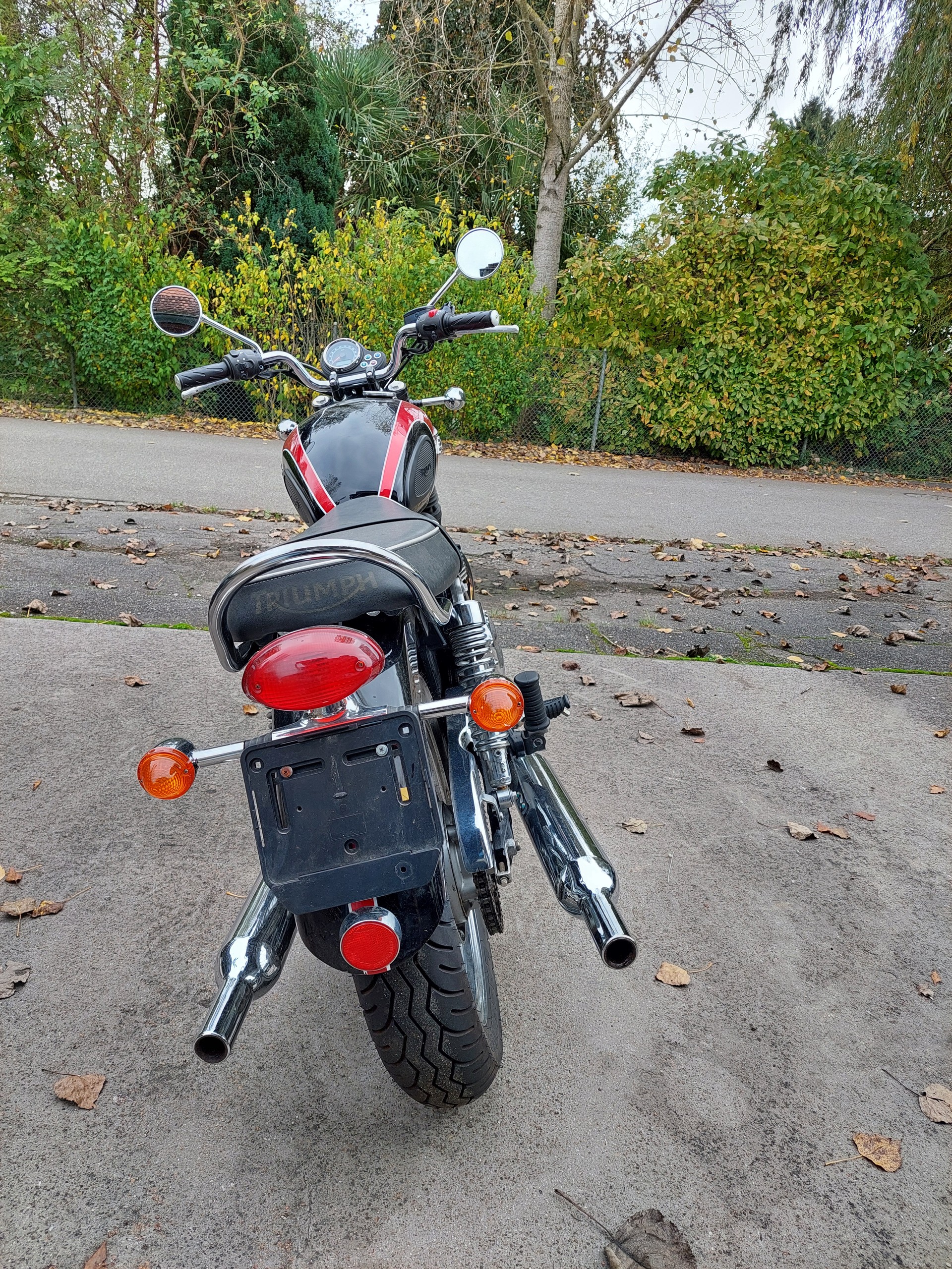 TRIUMPH T100-image-1