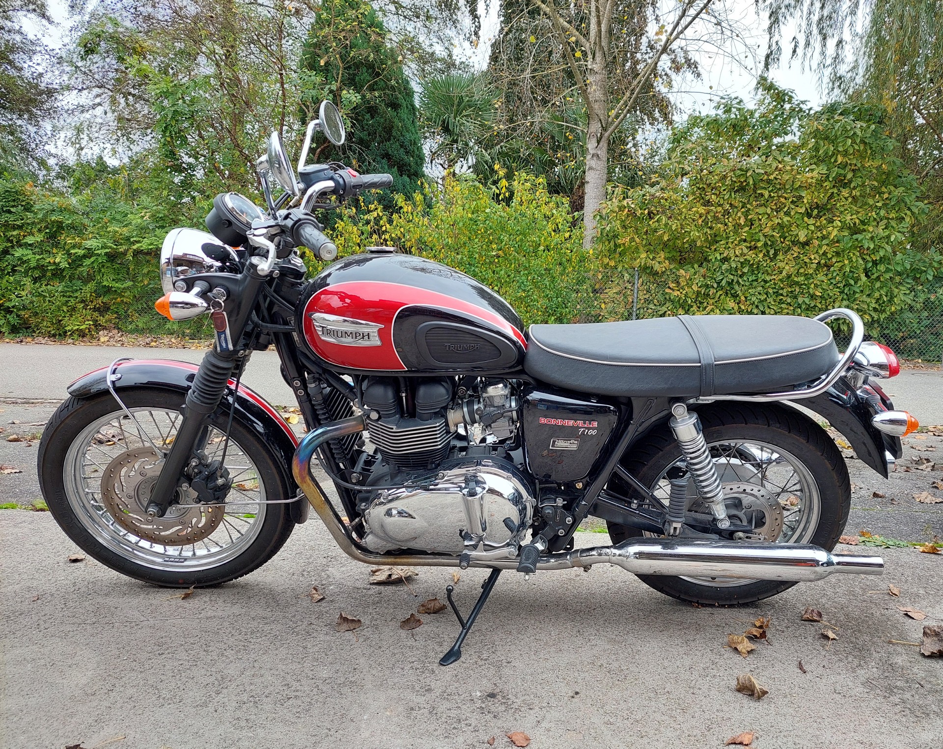 TRIUMPH T100-image-0