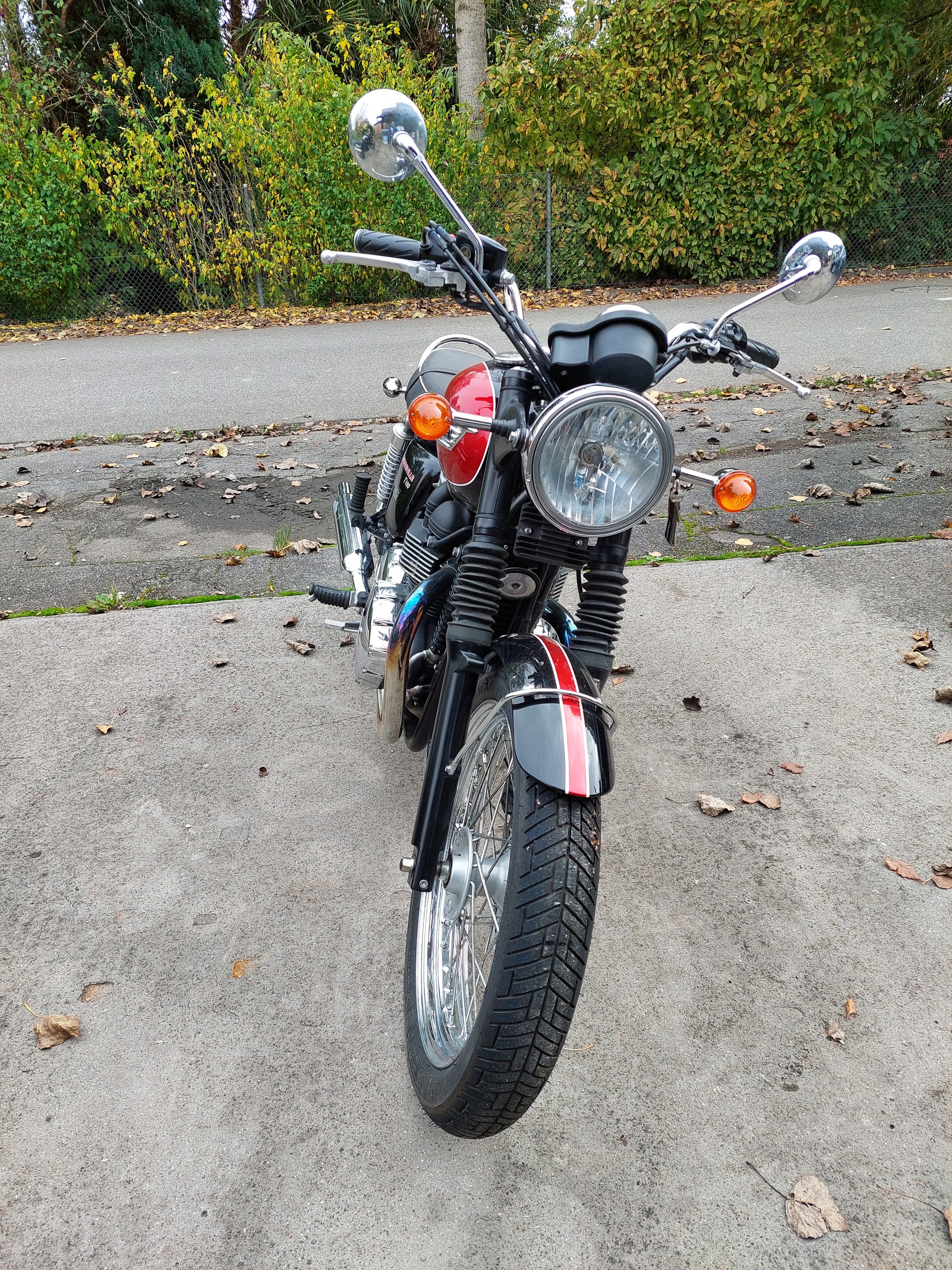 TRIUMPH T100-image-3