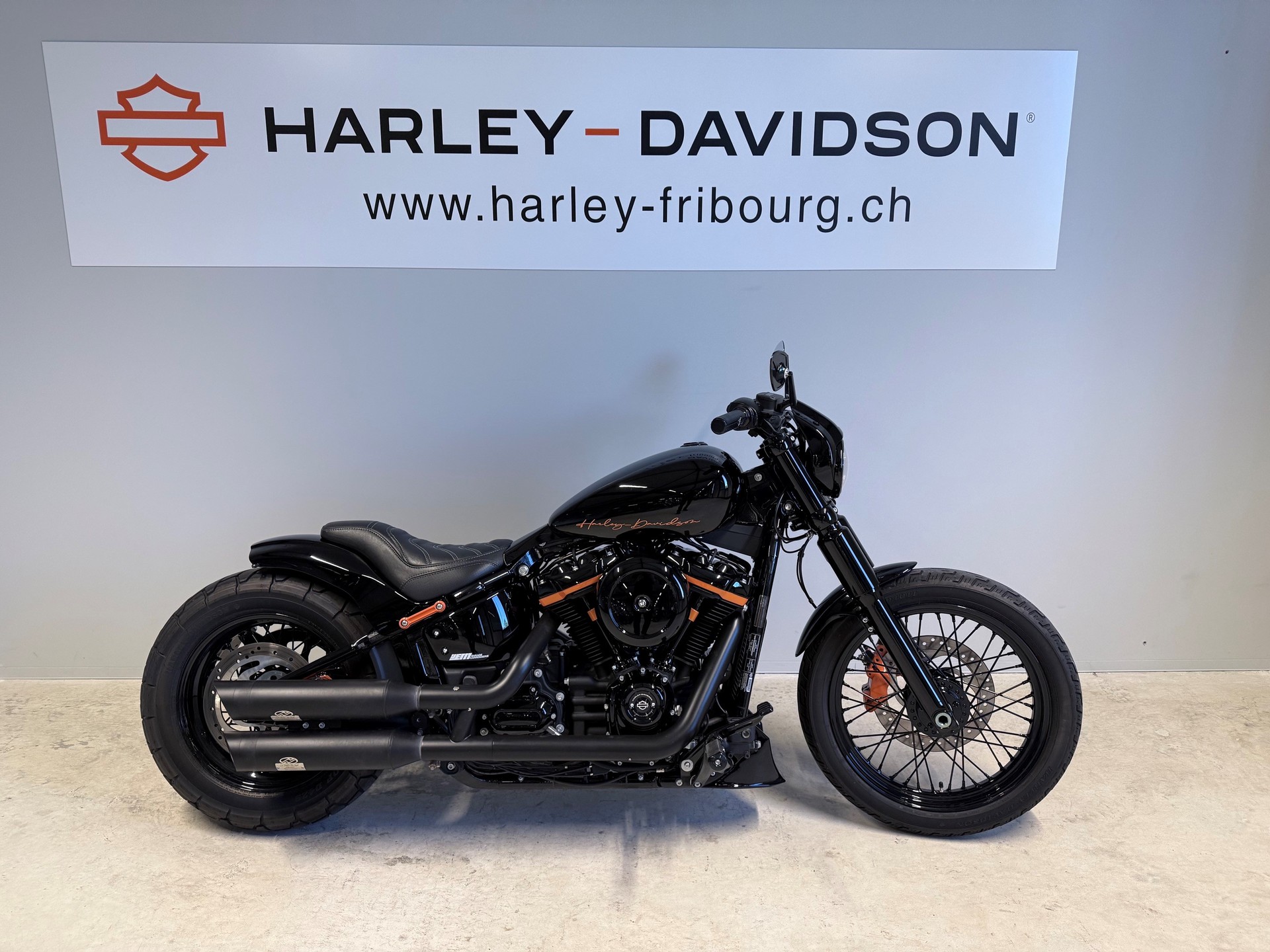 HARLEY-DAVIDSON FXST Softail Standard 107-image-0