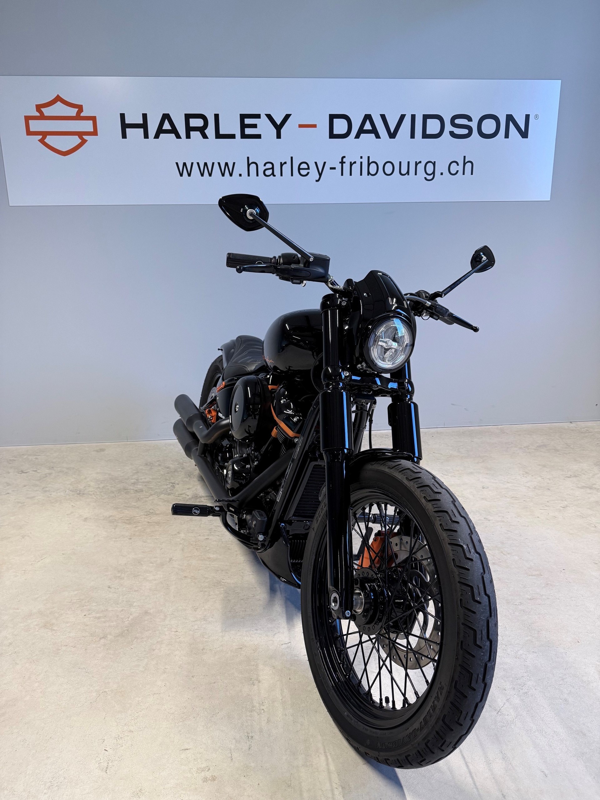 HARLEY-DAVIDSON FXST Softail Standard 107-image-5