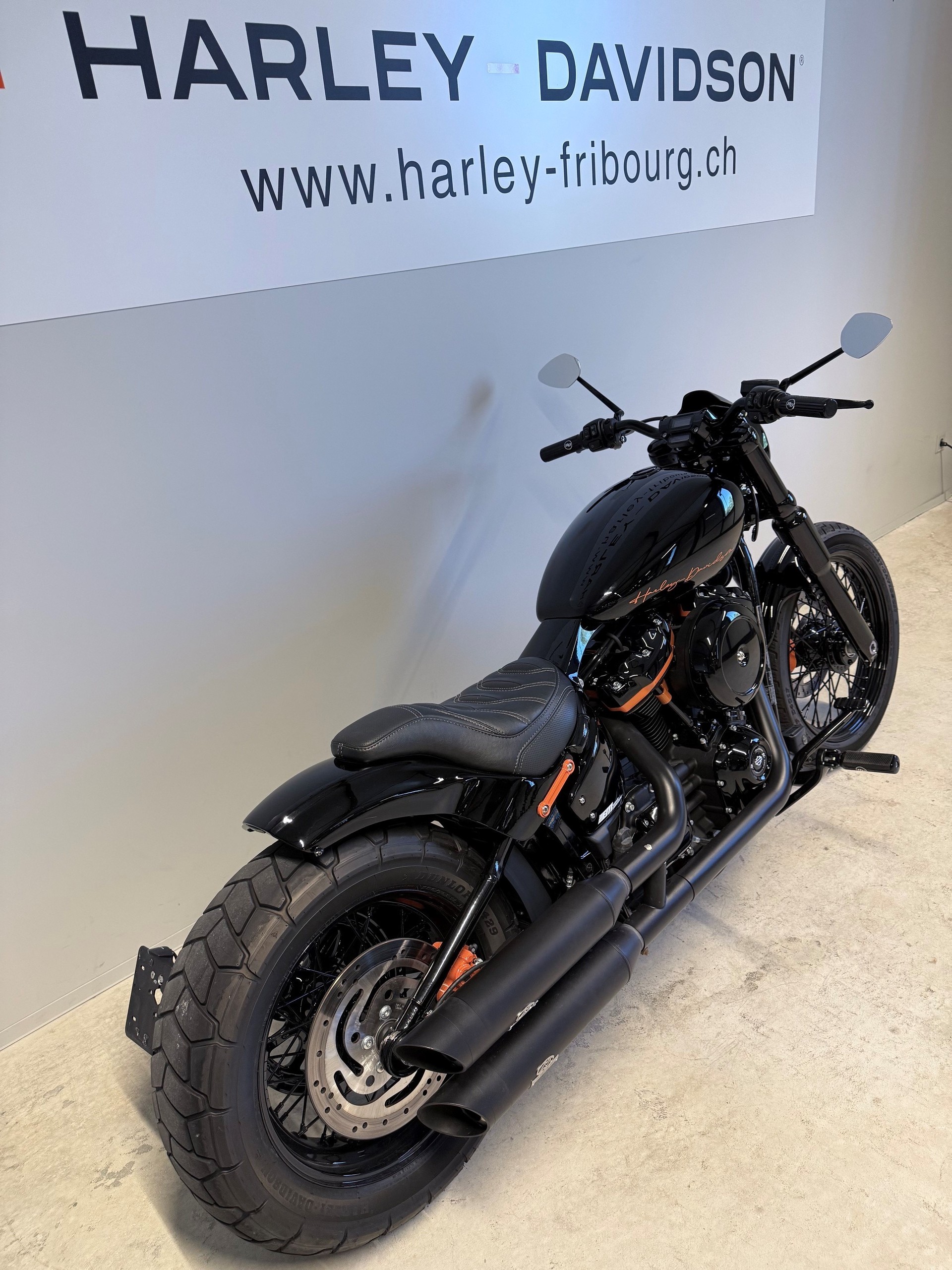 HARLEY-DAVIDSON FXST Softail Standard 107-image-4