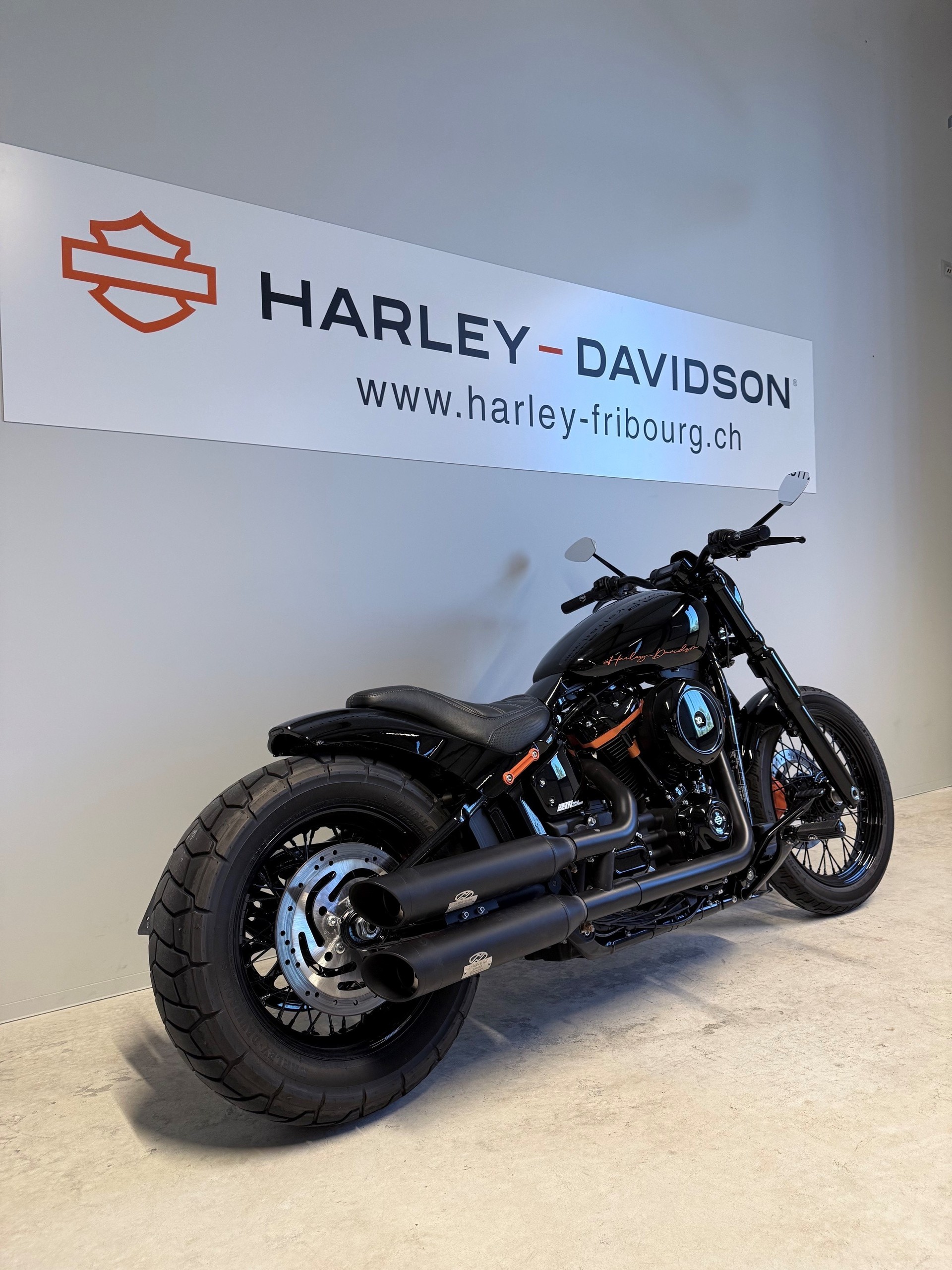 HARLEY-DAVIDSON FXST Softail Standard 107-image-3