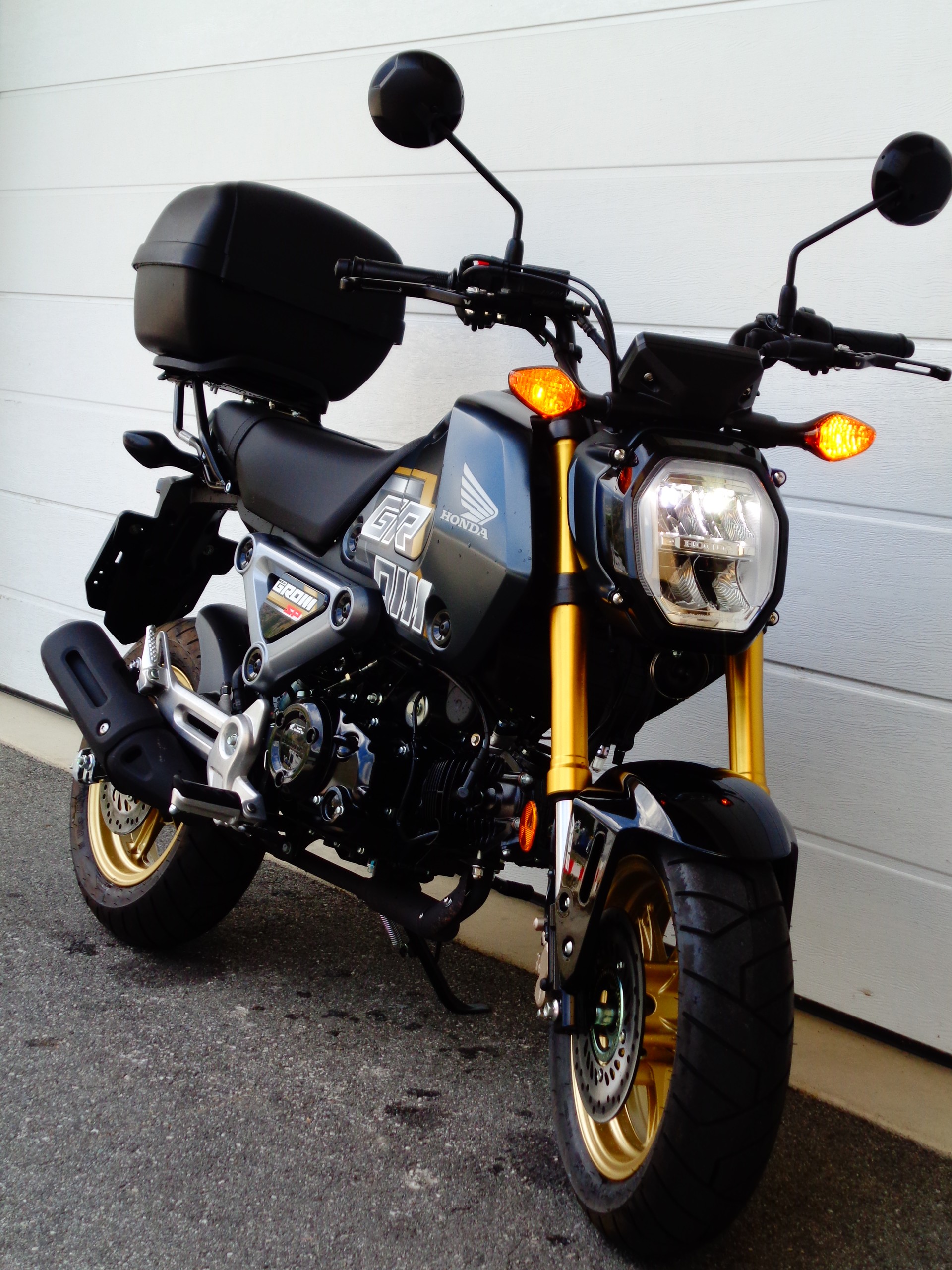 HONDA MSX 125 SP-Edition-image-1