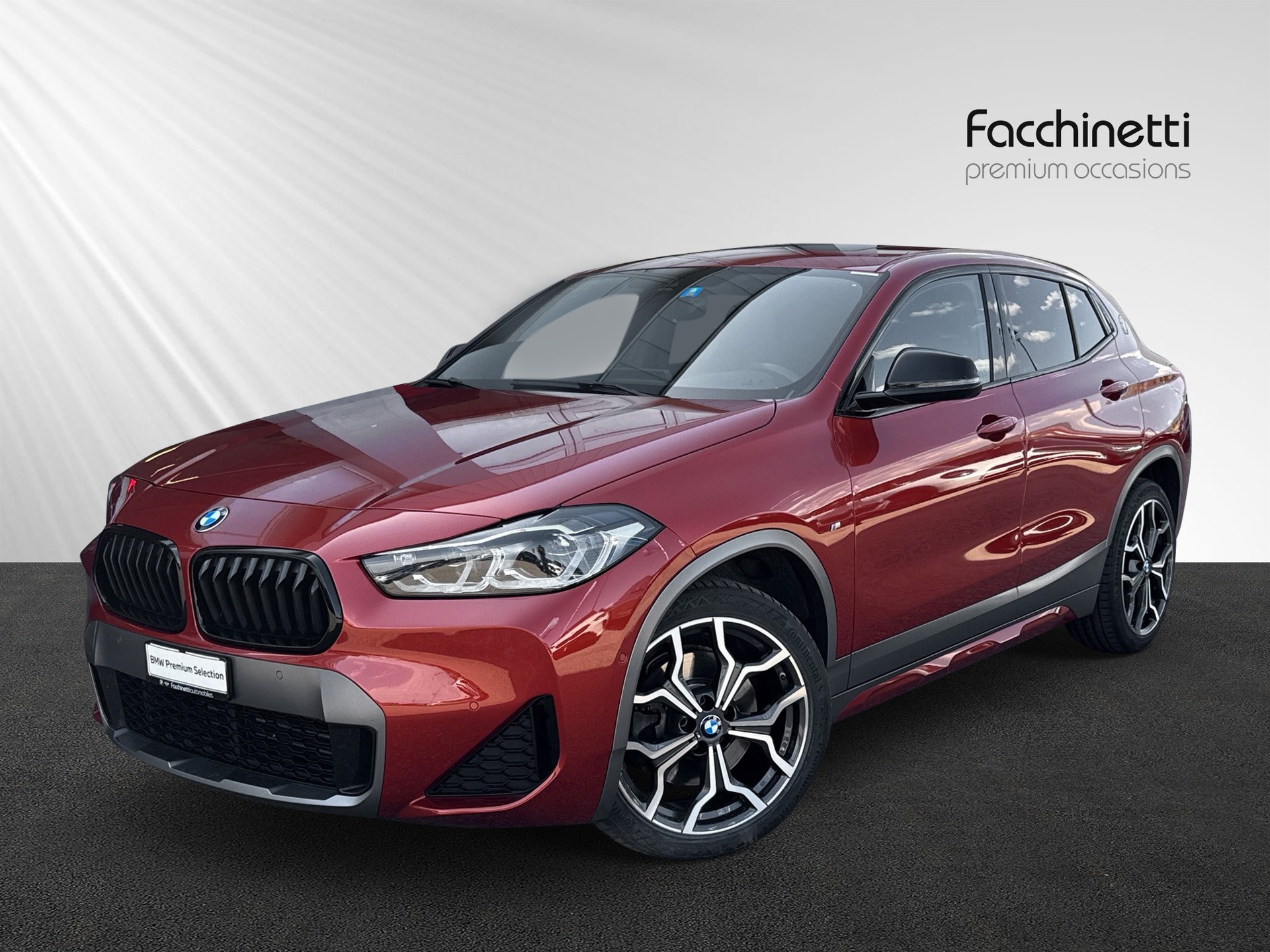 BMW X2 xDrive 25d M Sport X Steptronic