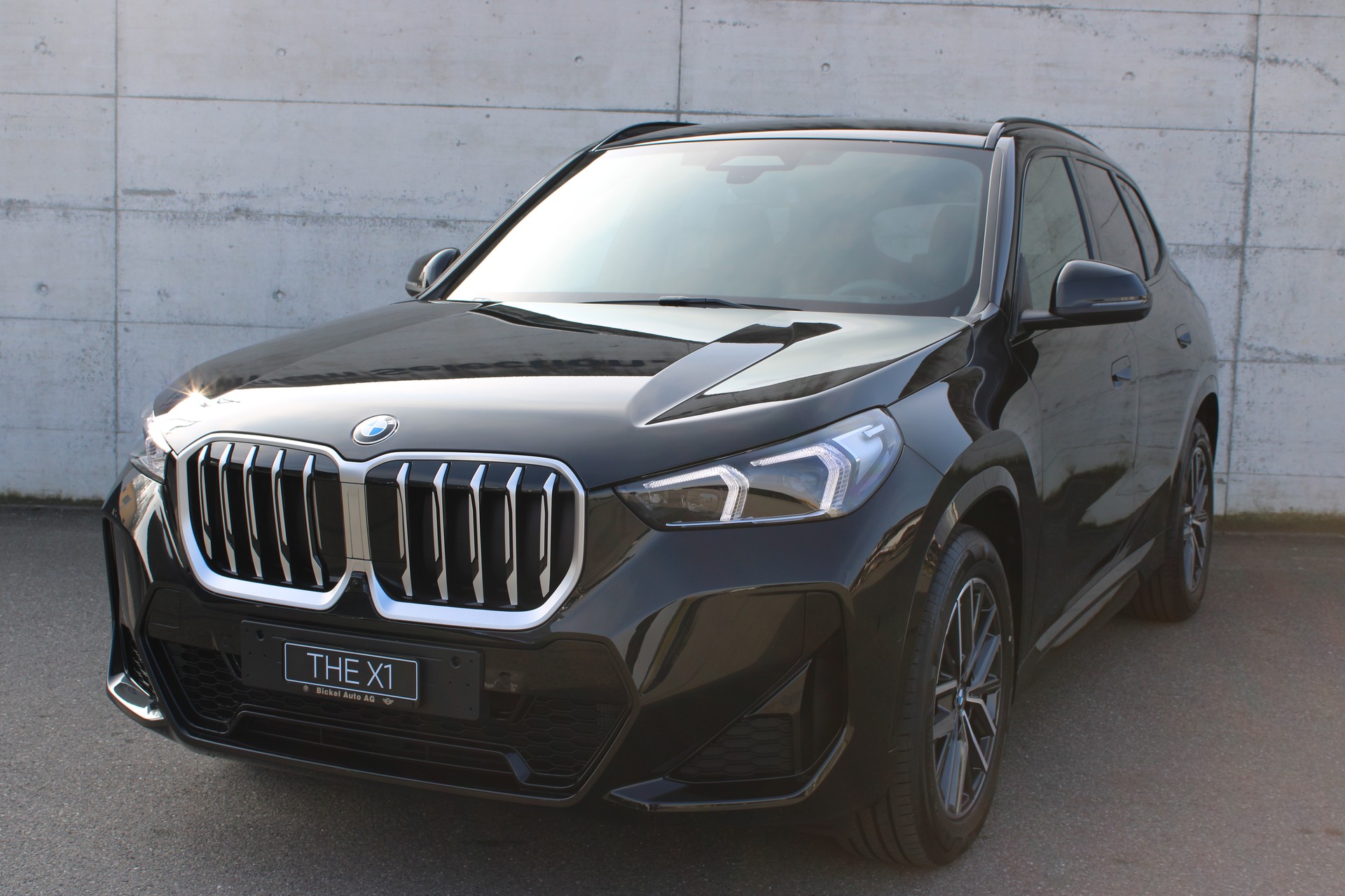 BMW X1 xDrive 20d 48V M Sport-image-6