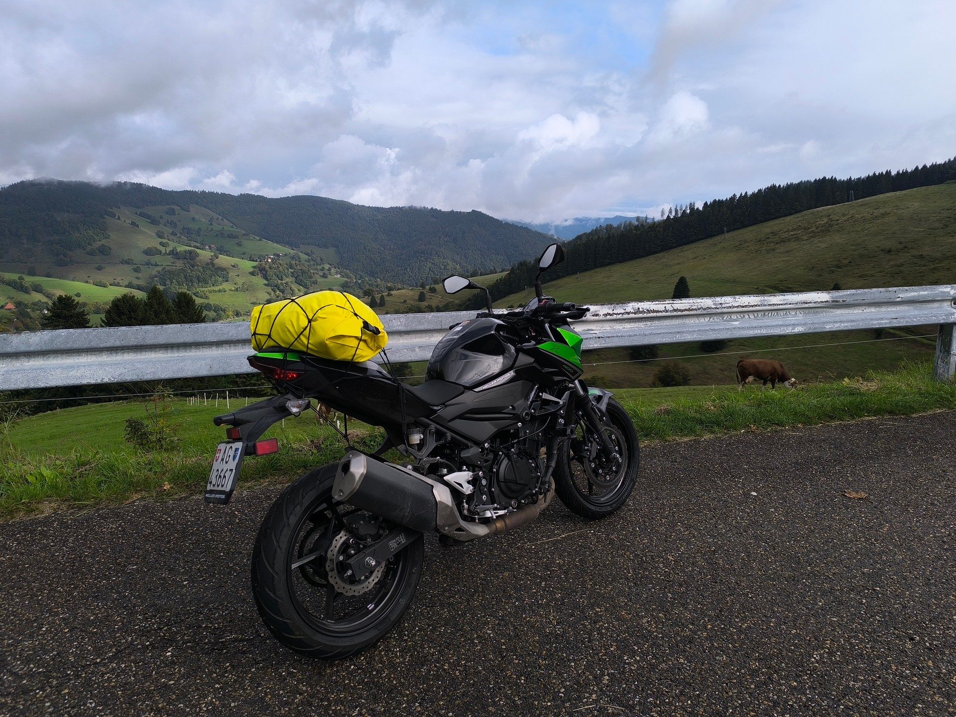 KAWASAKI Z 400-image-1