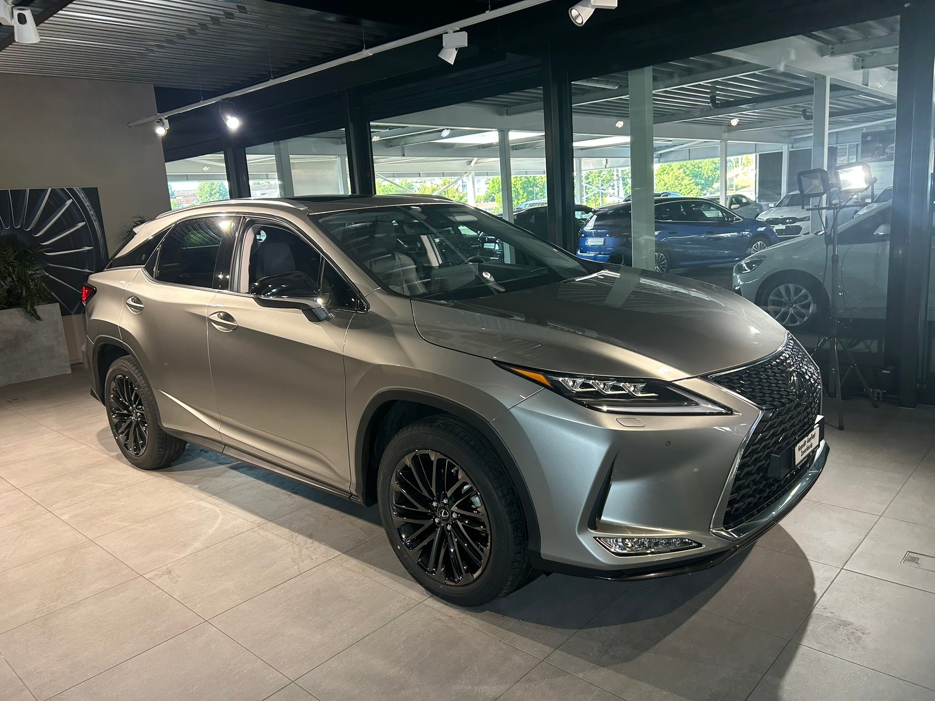 LEXUS RX 300 Special Edition AWD-showroom-element-2