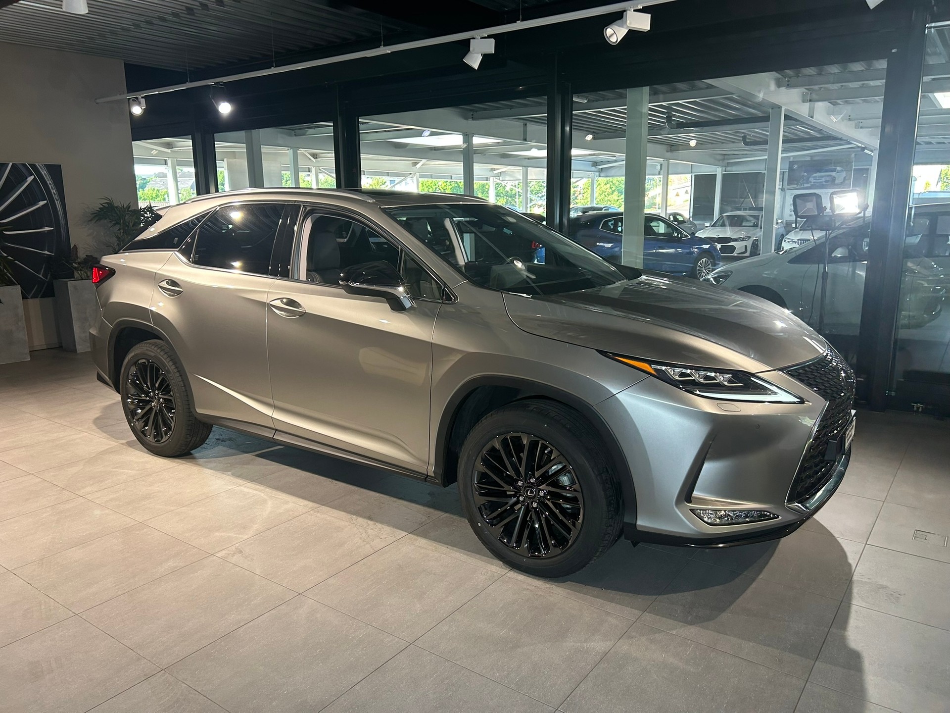 LEXUS RX 300 Special Edition AWD-showroom-element-1