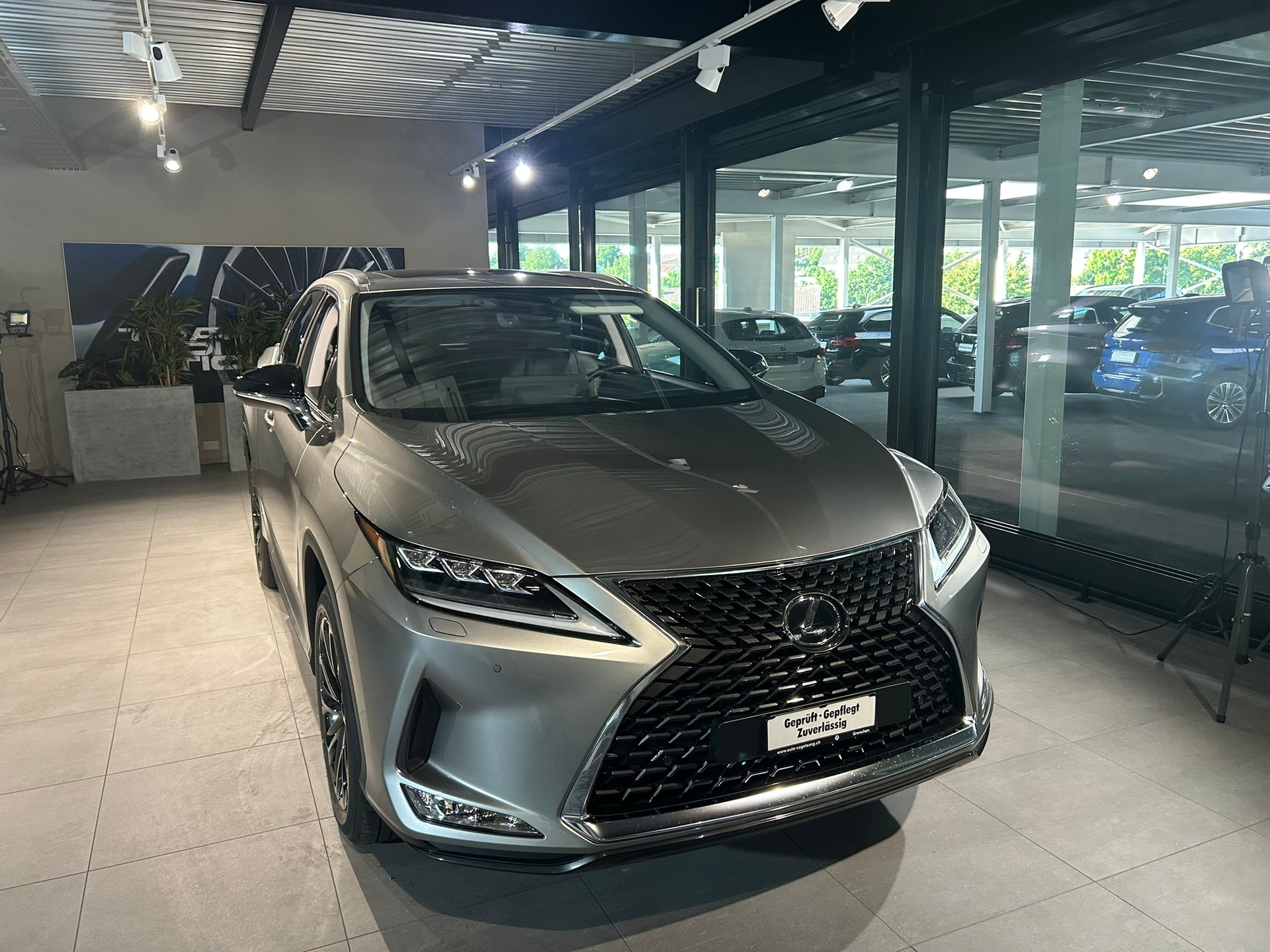 LEXUS RX 300 Special Edition AWD-showroom-element-3