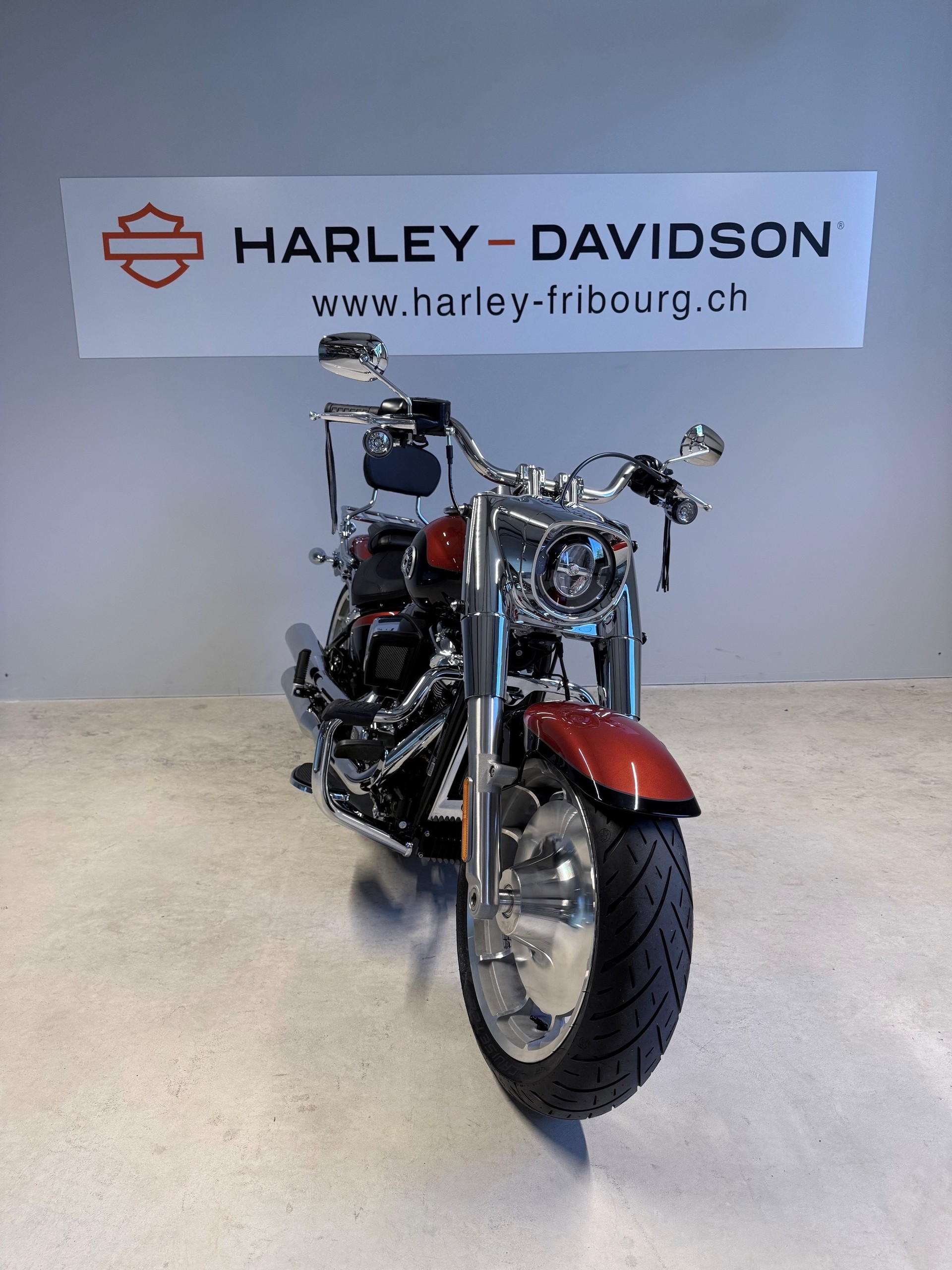 HARLEY-DAVIDSON FLFB Fat Boy 117ci-image-2