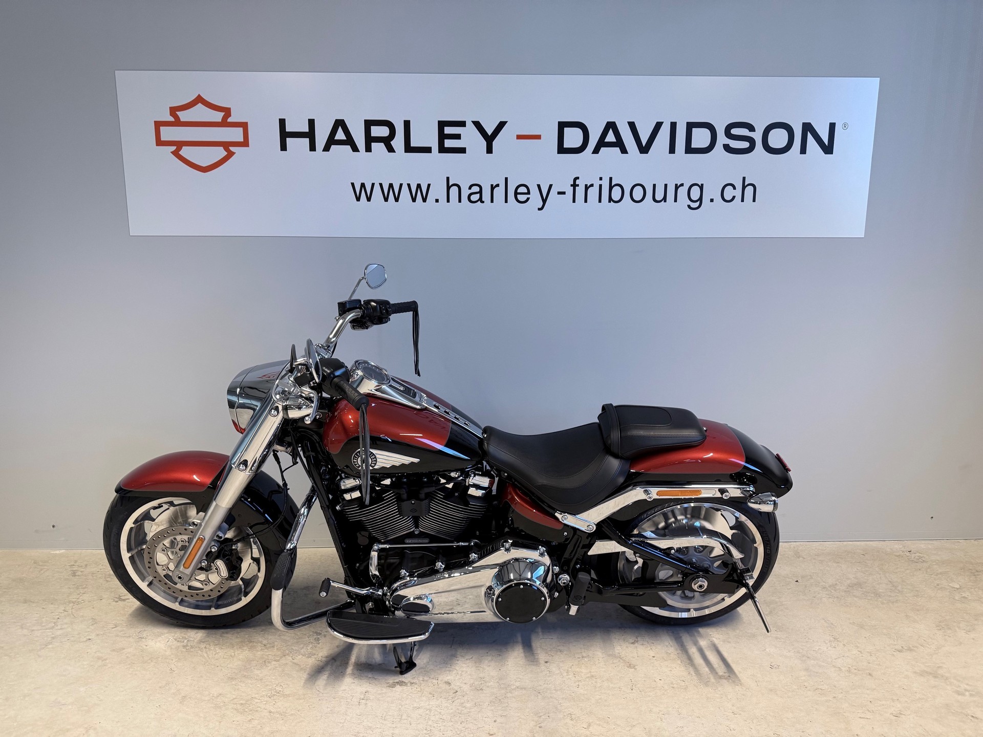 HARLEY-DAVIDSON FLFB Fat Boy 117ci-image-3