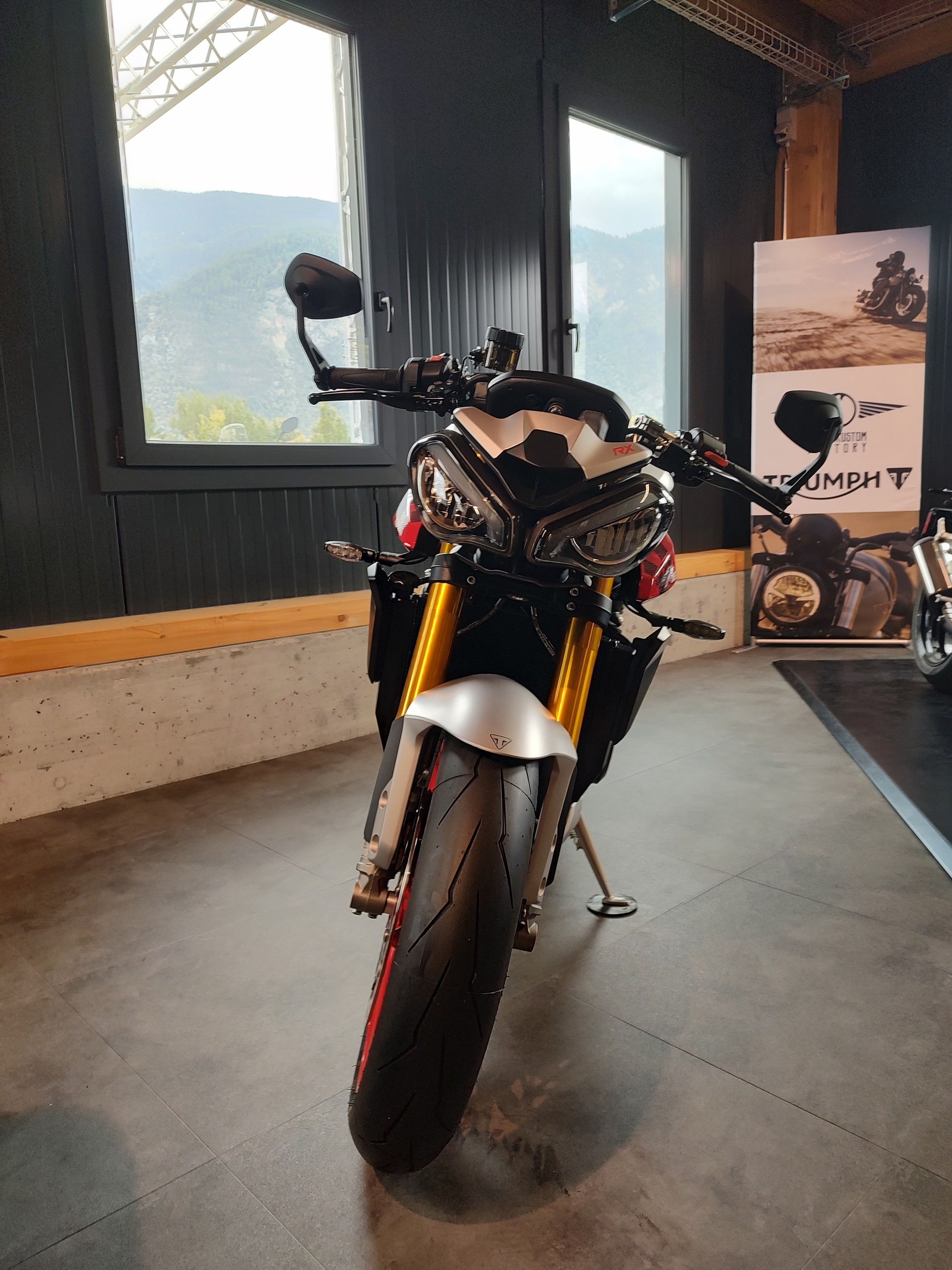 TRIUMPH RX-image-1