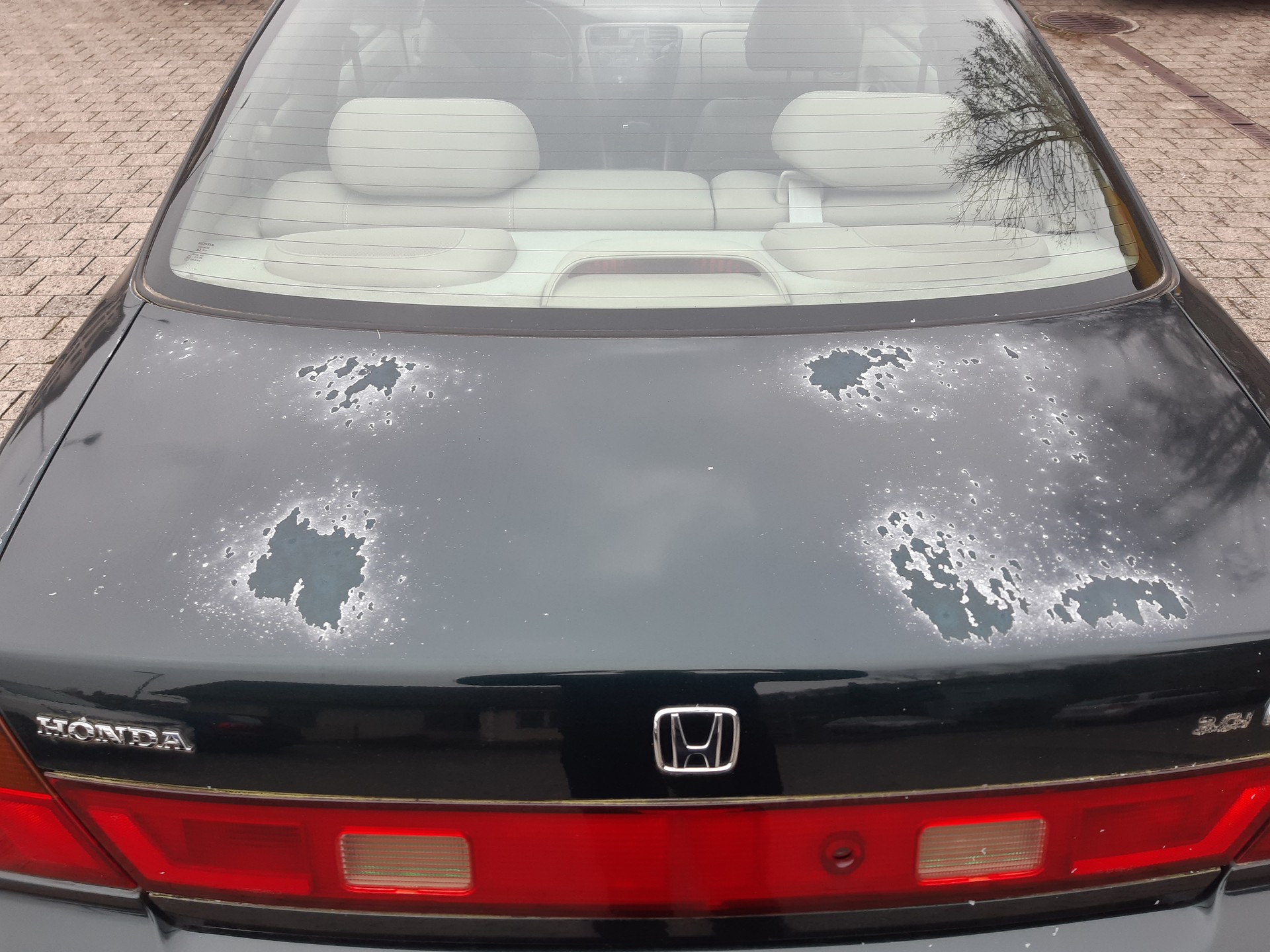 HONDA Accord Coupé V6 3.0i VTEC-image-4