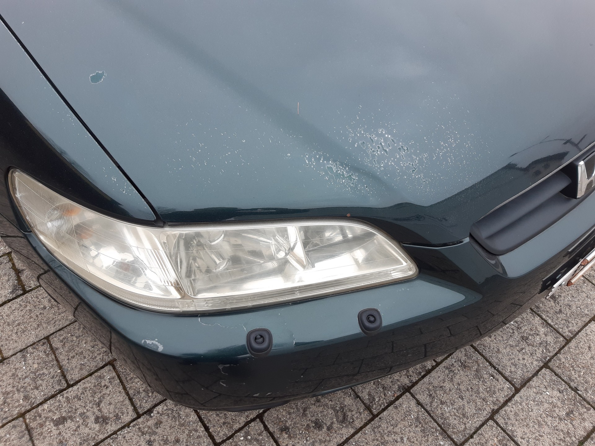 HONDA Accord Coupé V6 3.0i VTEC-image-6