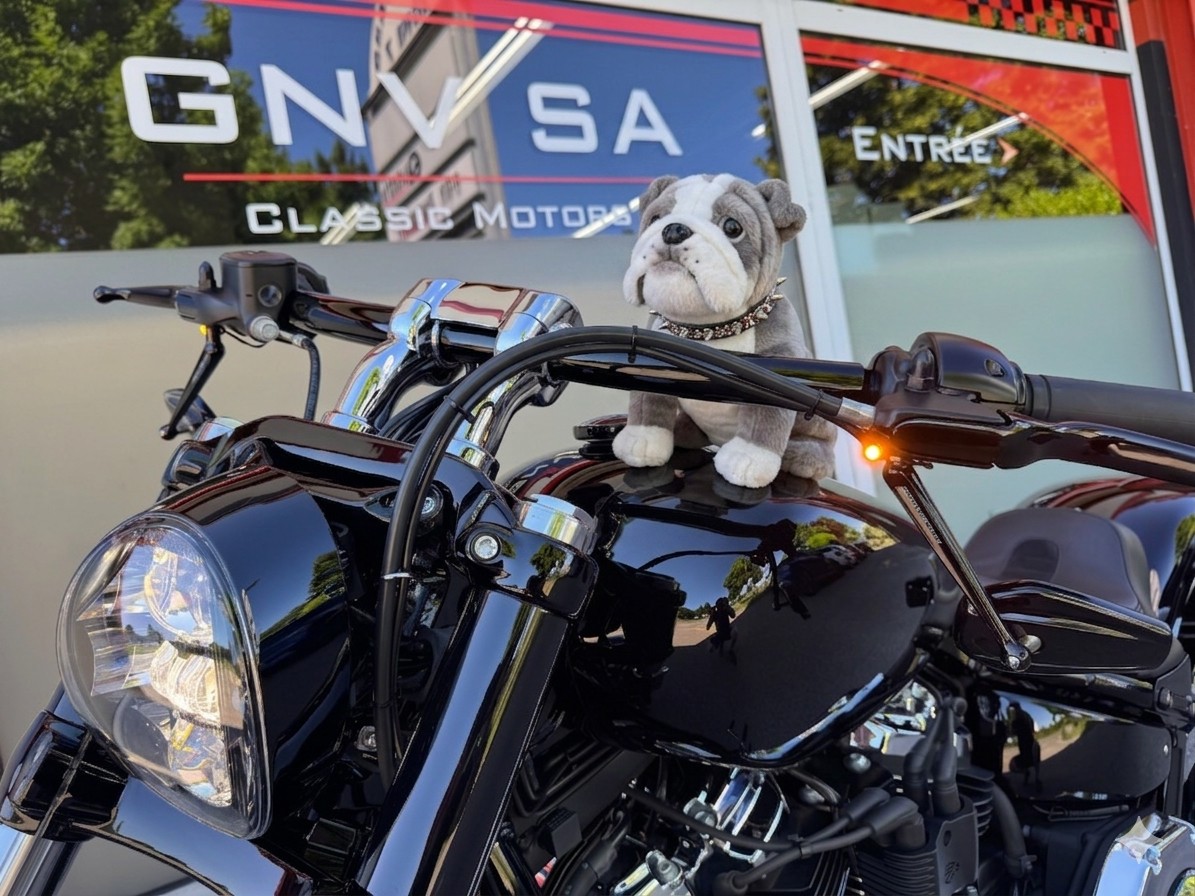 HARLEY-DAVIDSON FXBRS Breakout 114 ABS-image-1
