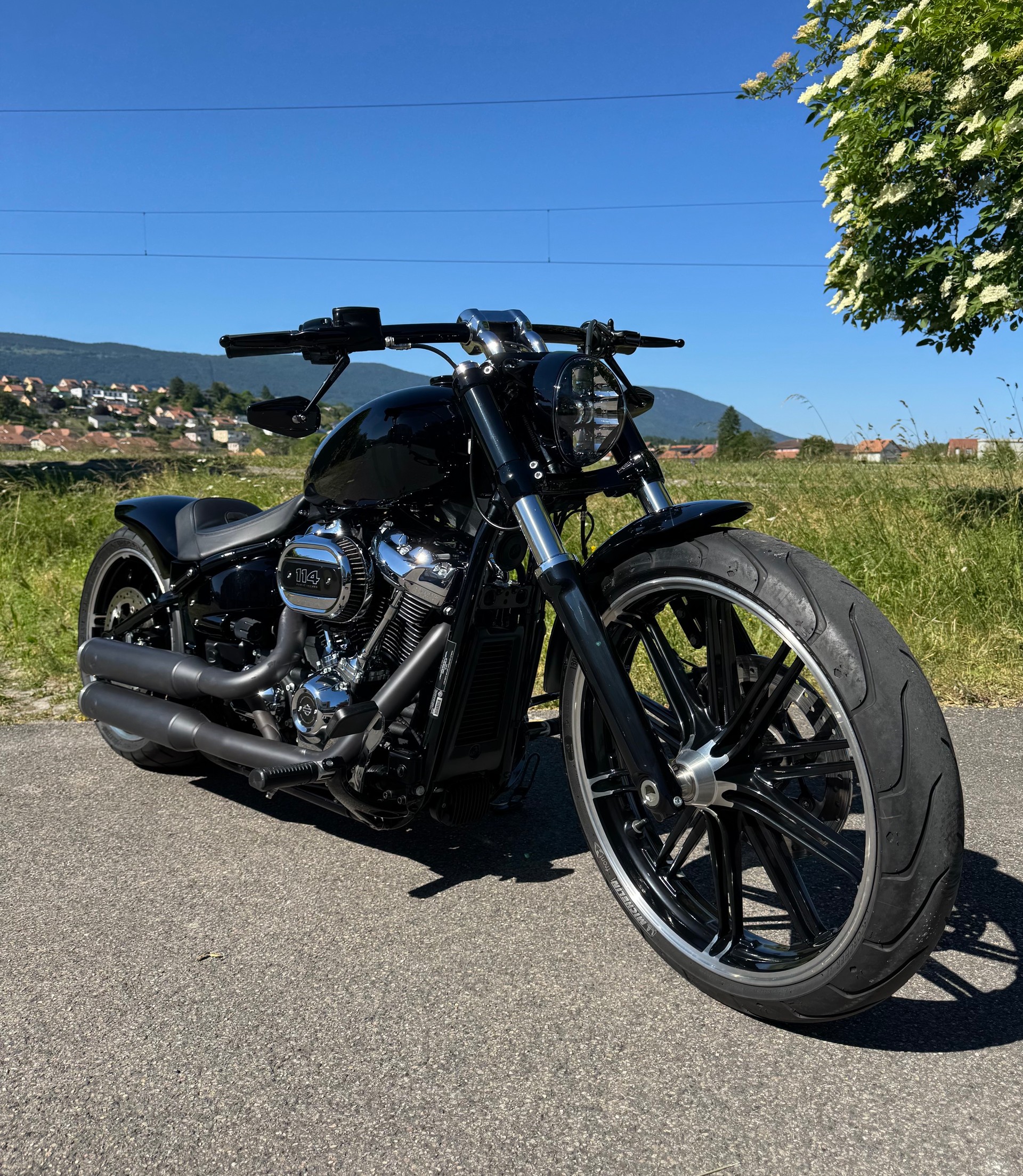 HARLEY-DAVIDSON FXBRS Breakout 114 ABS-image-2