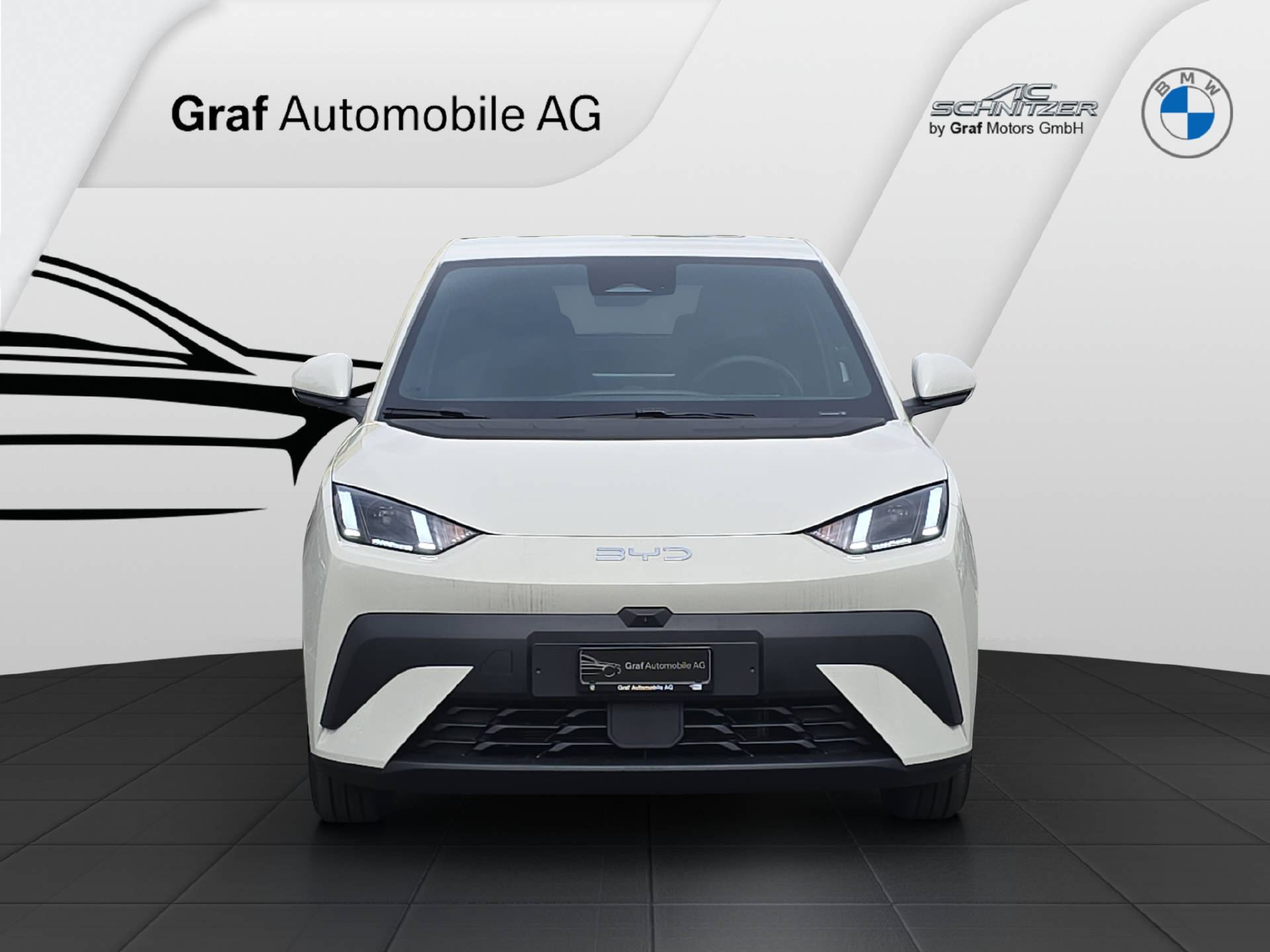 BYD Dolphin Surf Comfort-showroom-element-1