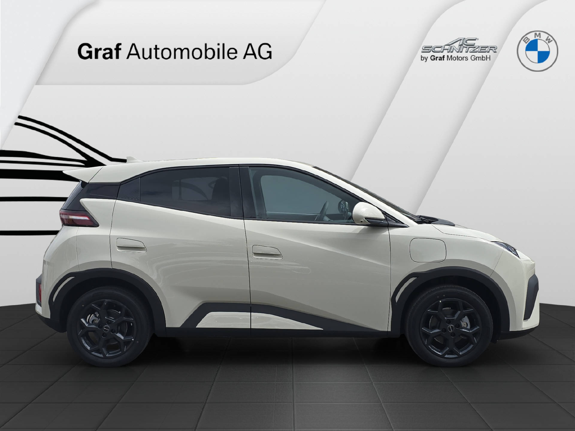 BYD Dolphin Surf Comfort-showroom-element-3