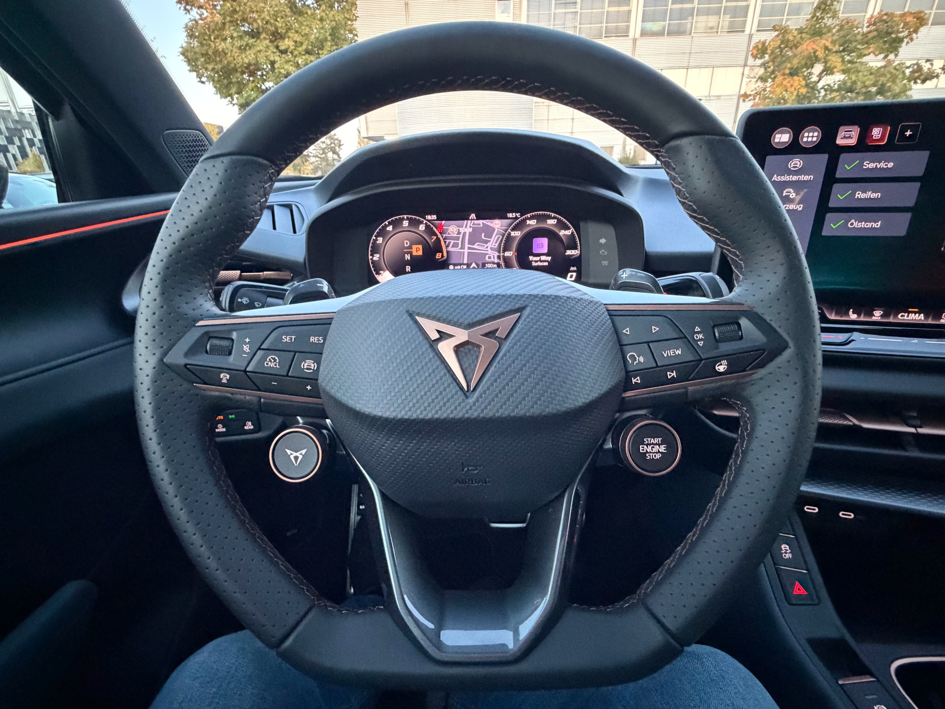 CUPRA Terramar 2.0 TSI DSG 4Drive VZ ***CH-FAHRZEUG***-image-11