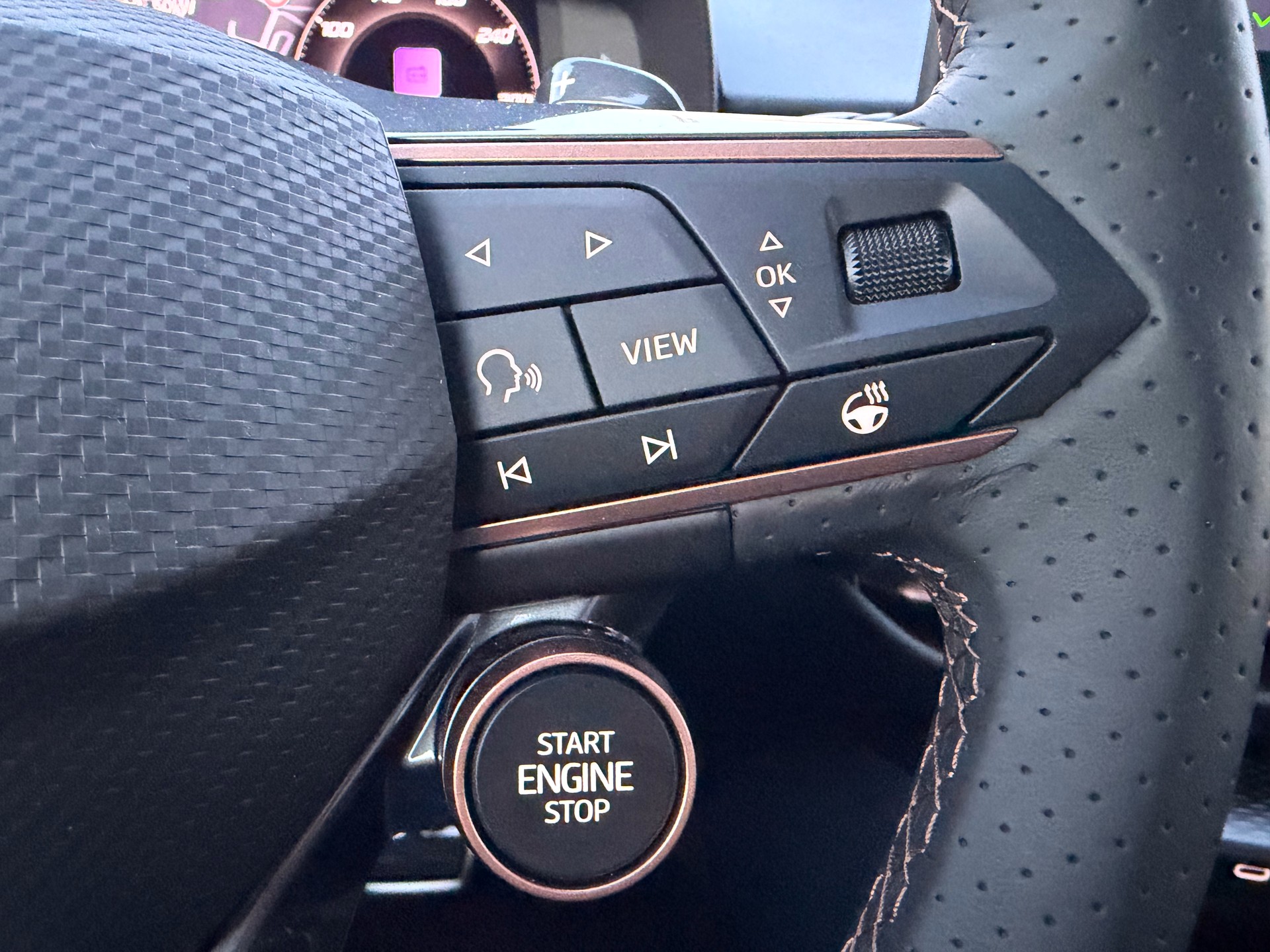CUPRA Terramar 2.0 TSI DSG 4Drive VZ ***CH-FAHRZEUG***-image-12