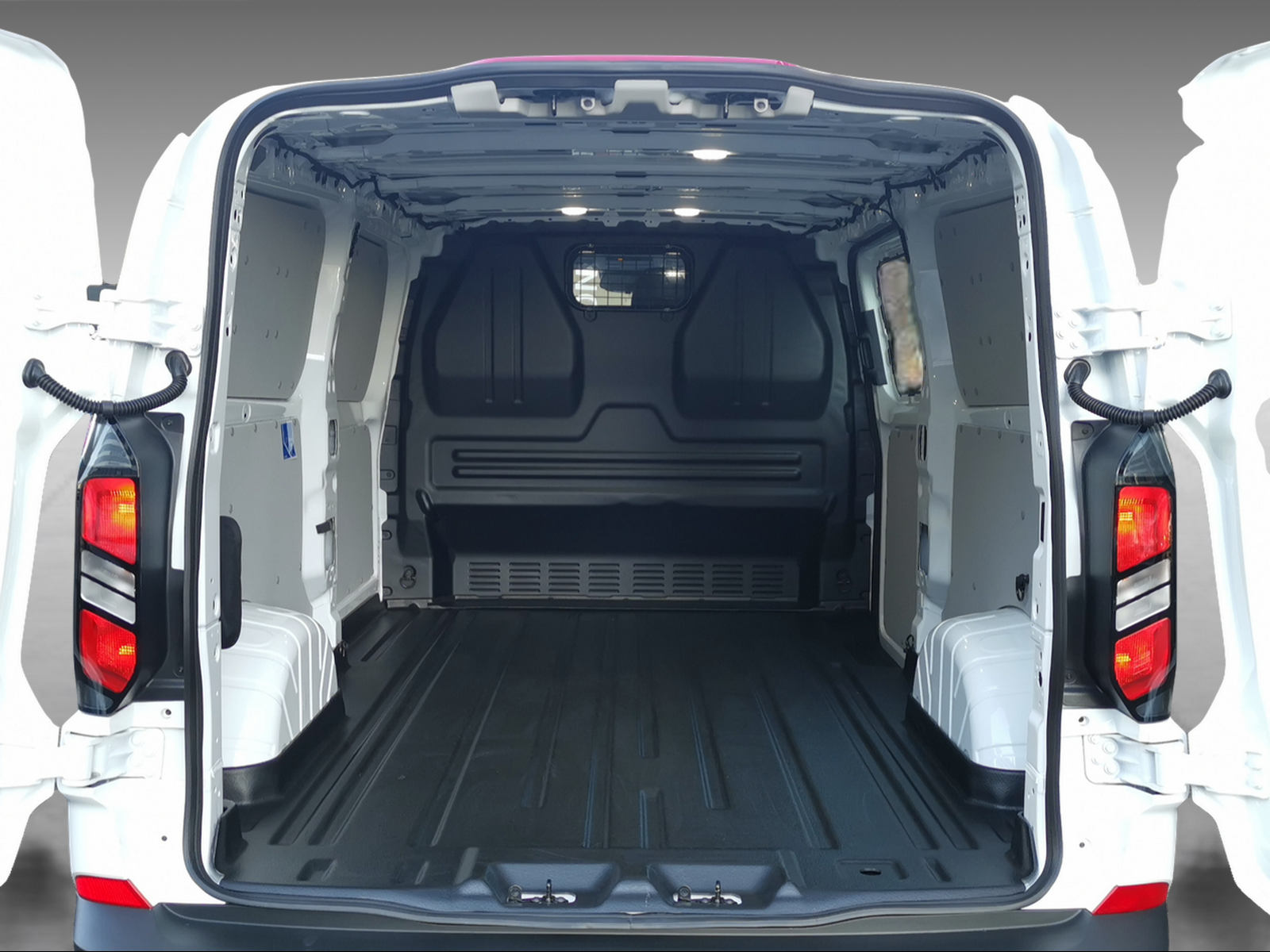 FORD Transit C Van 320 L2 2.5 Duratec 233 Trend PHEV-image-12