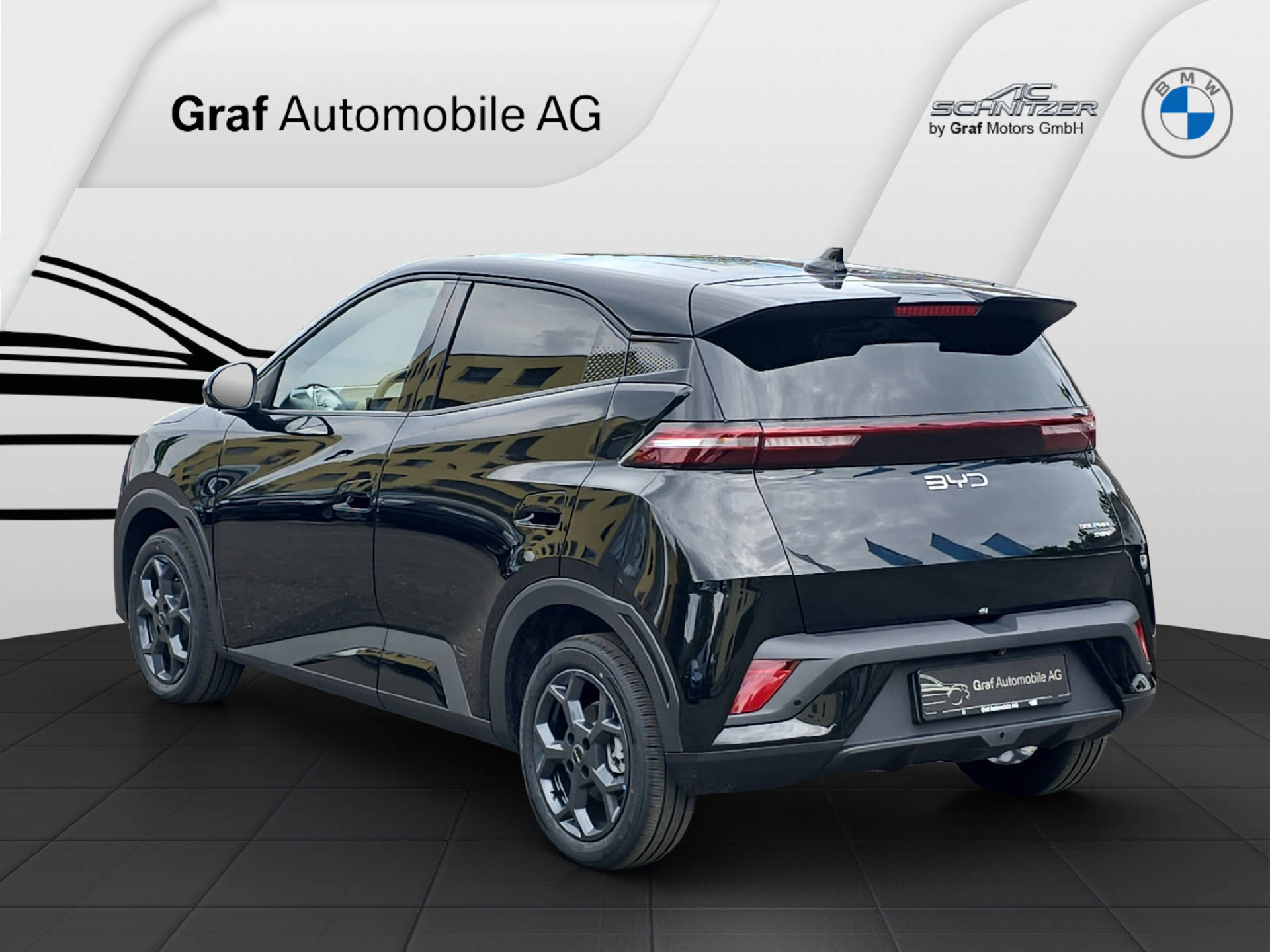 BYD Dolphin Surf Comfort-image-5