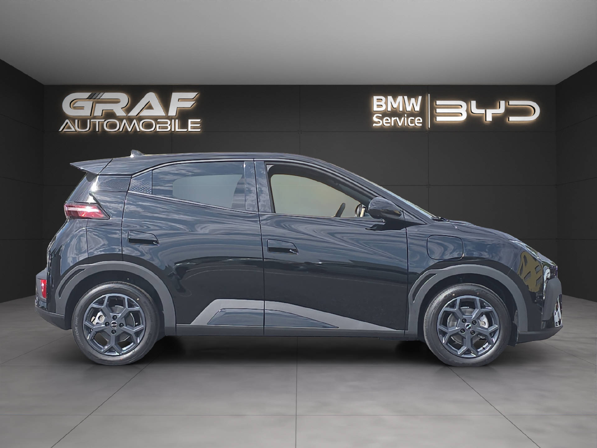 BYD Dolphin Surf Comfort-showroom-element-3