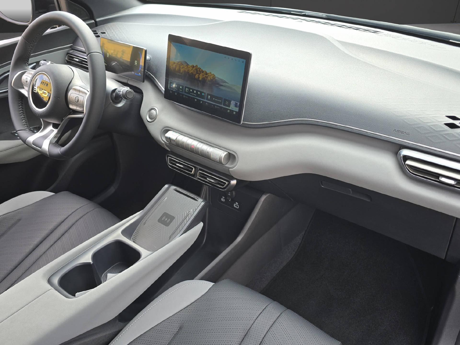 BYD Dolphin Surf Comfort-image-9