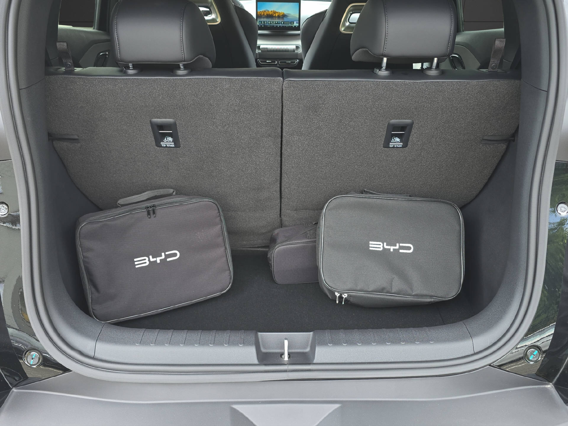 BYD Dolphin Surf Comfort-image-12