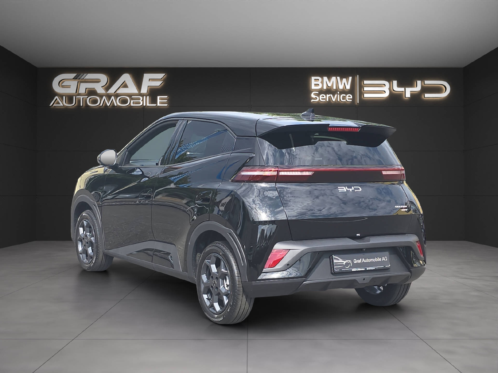 BYD Dolphin Surf Comfort-image-6